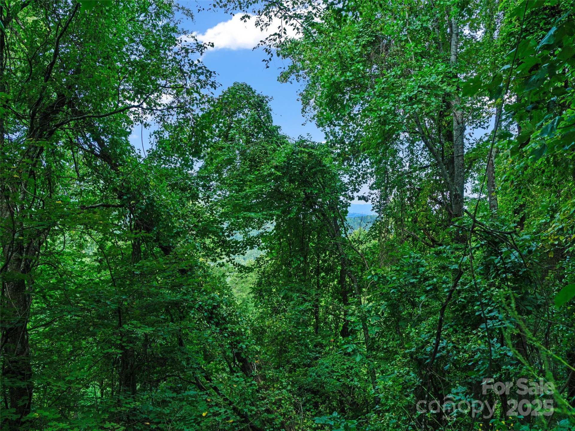 125 Floribunda Path #Lot 8A - Photo 18