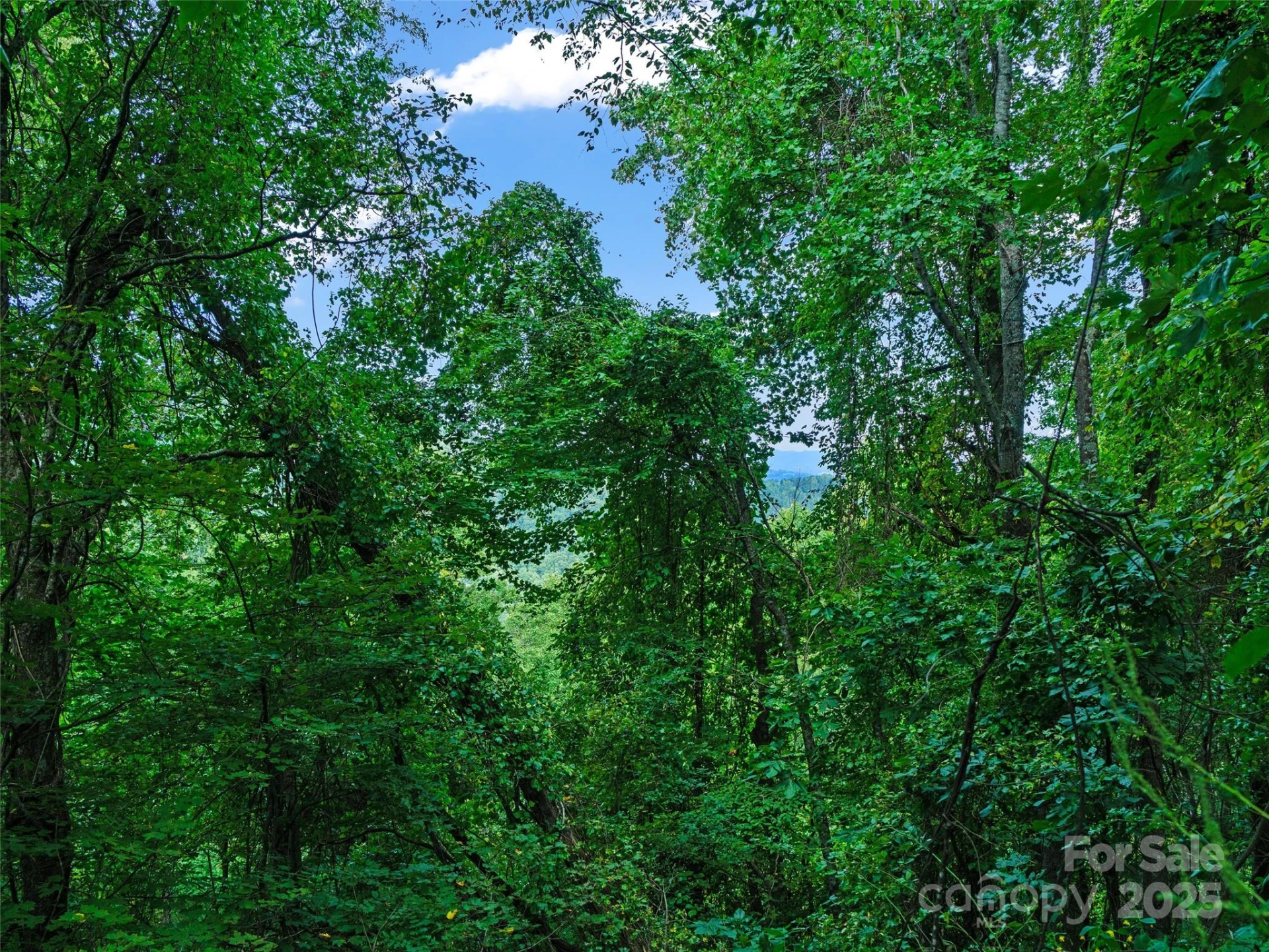 125 Floribunda Path #Lot 8A - Photo 18