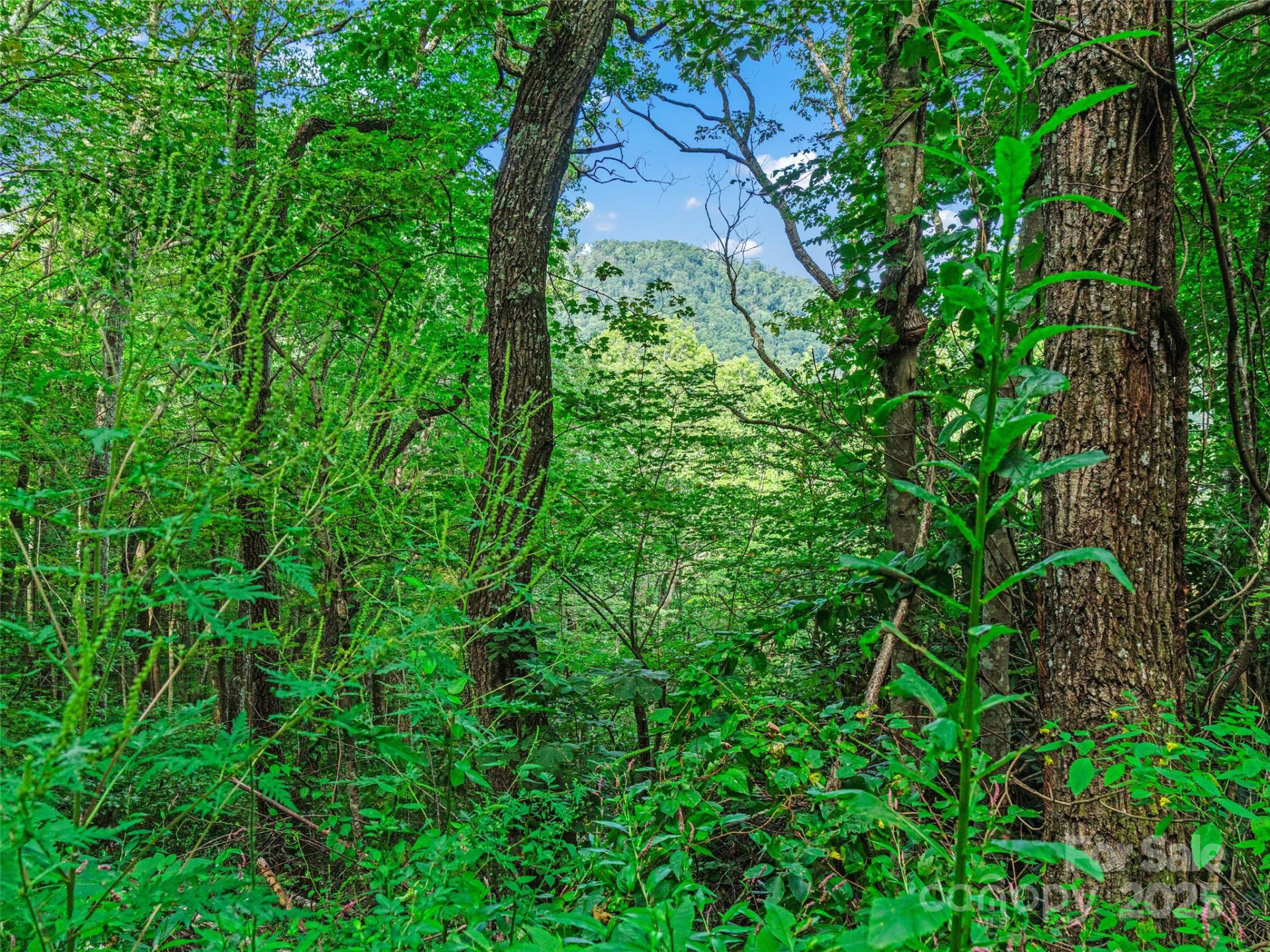 125 Floribunda Path #Lot 8A - Photo 19