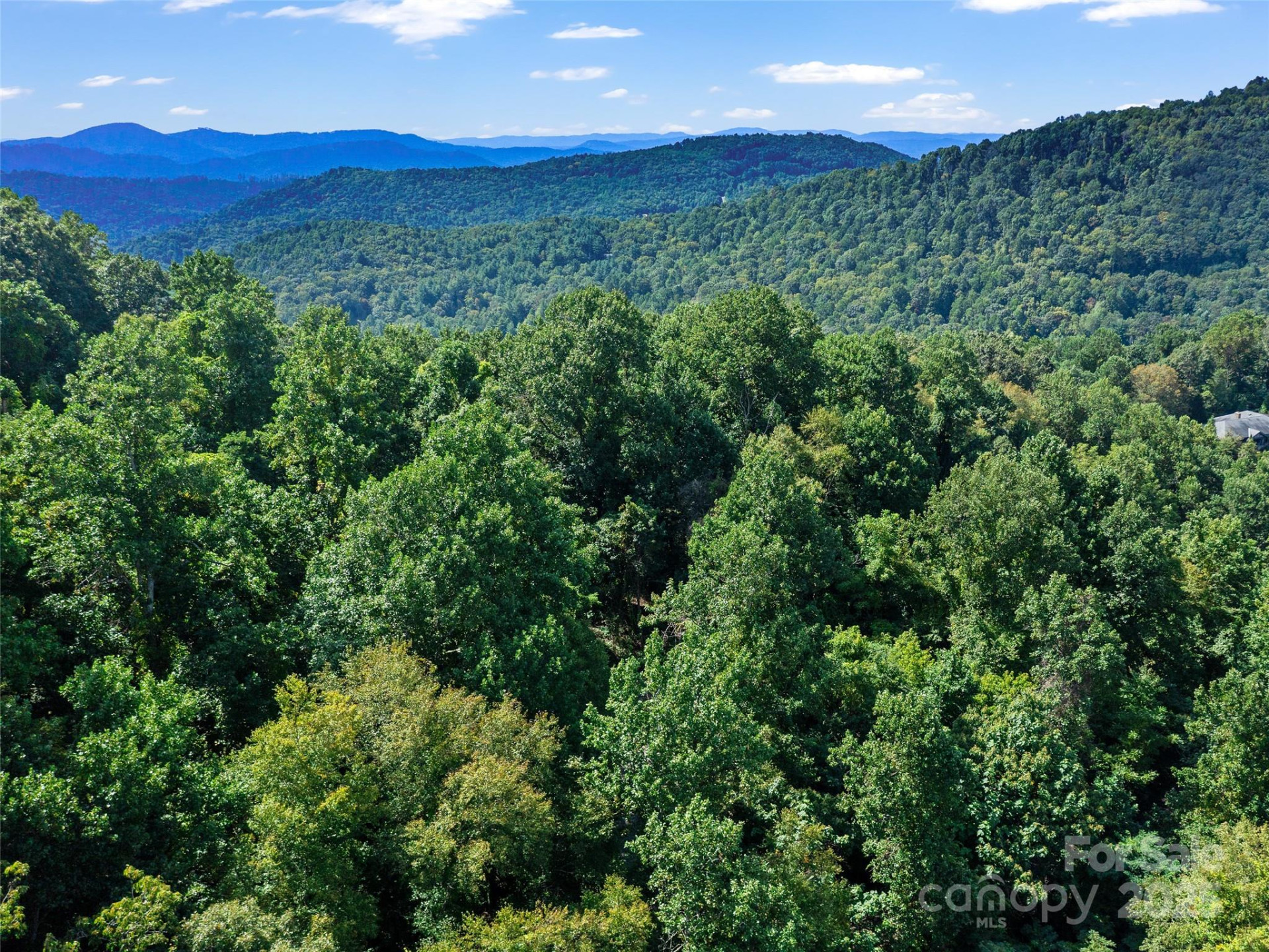 125 Floribunda Path #Lot 8A - Photo 20