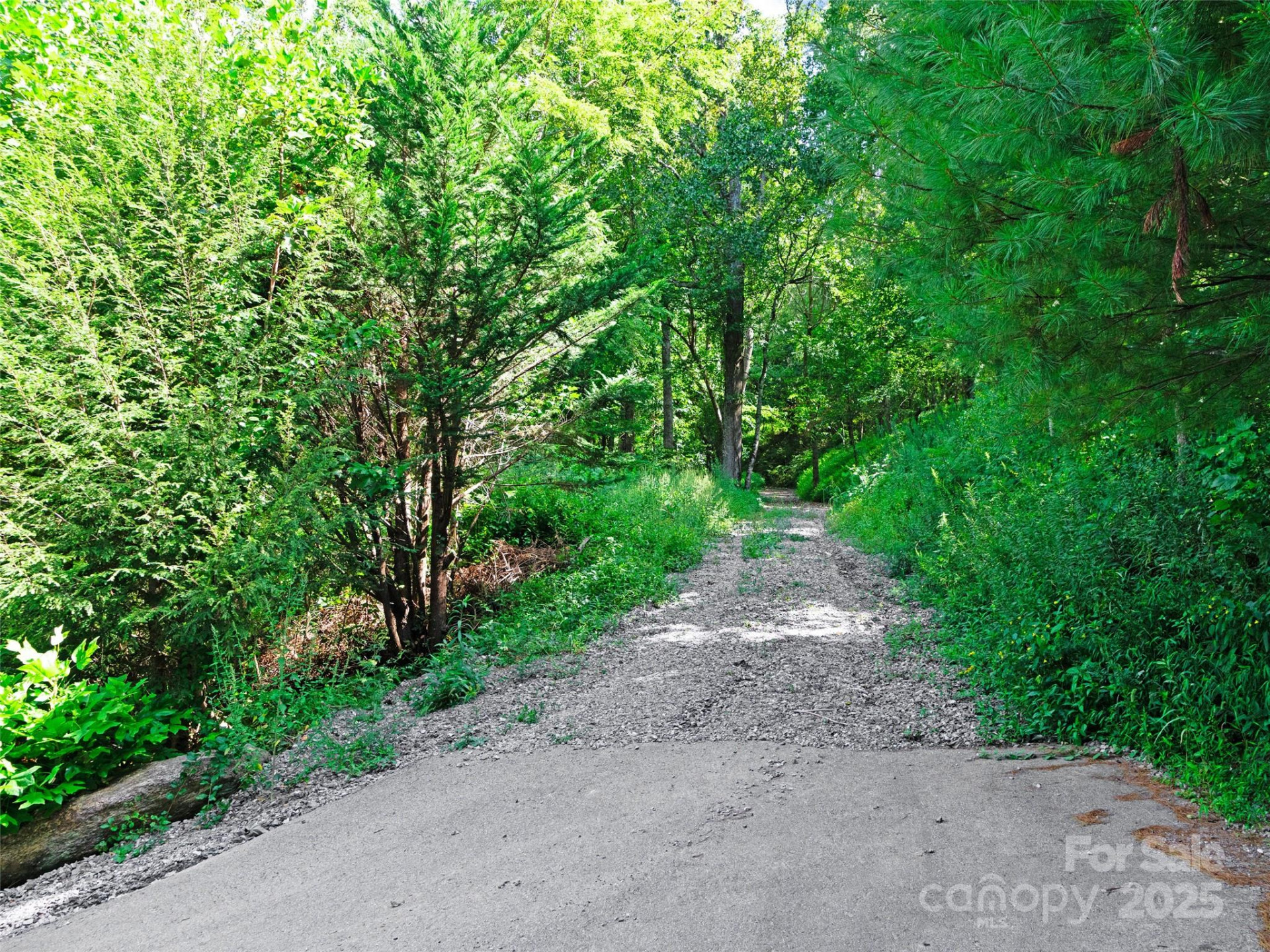 125 Floribunda Path #Lot 8A - Photo 3