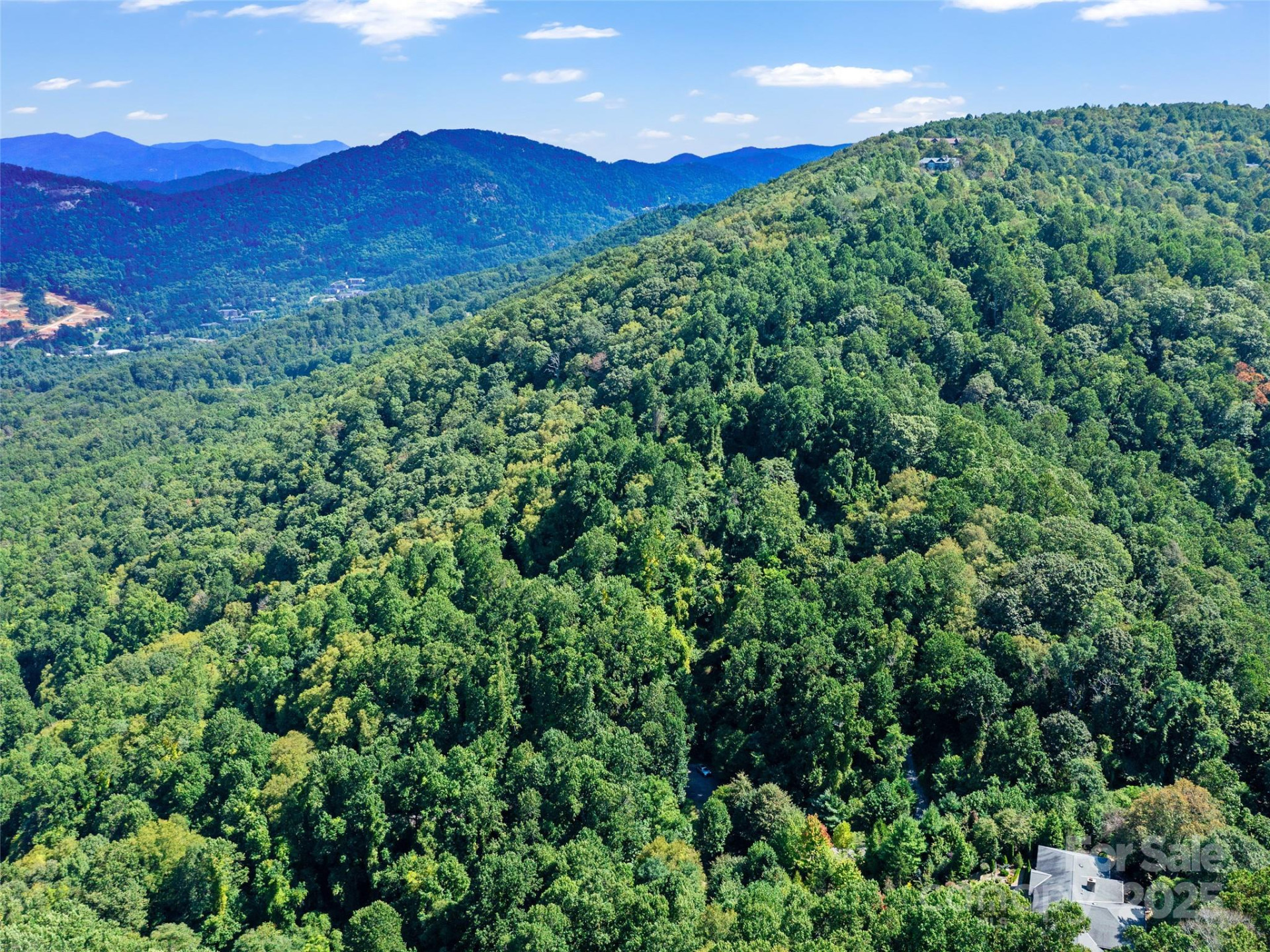 125 Floribunda Path #Lot 8A - Photo 21