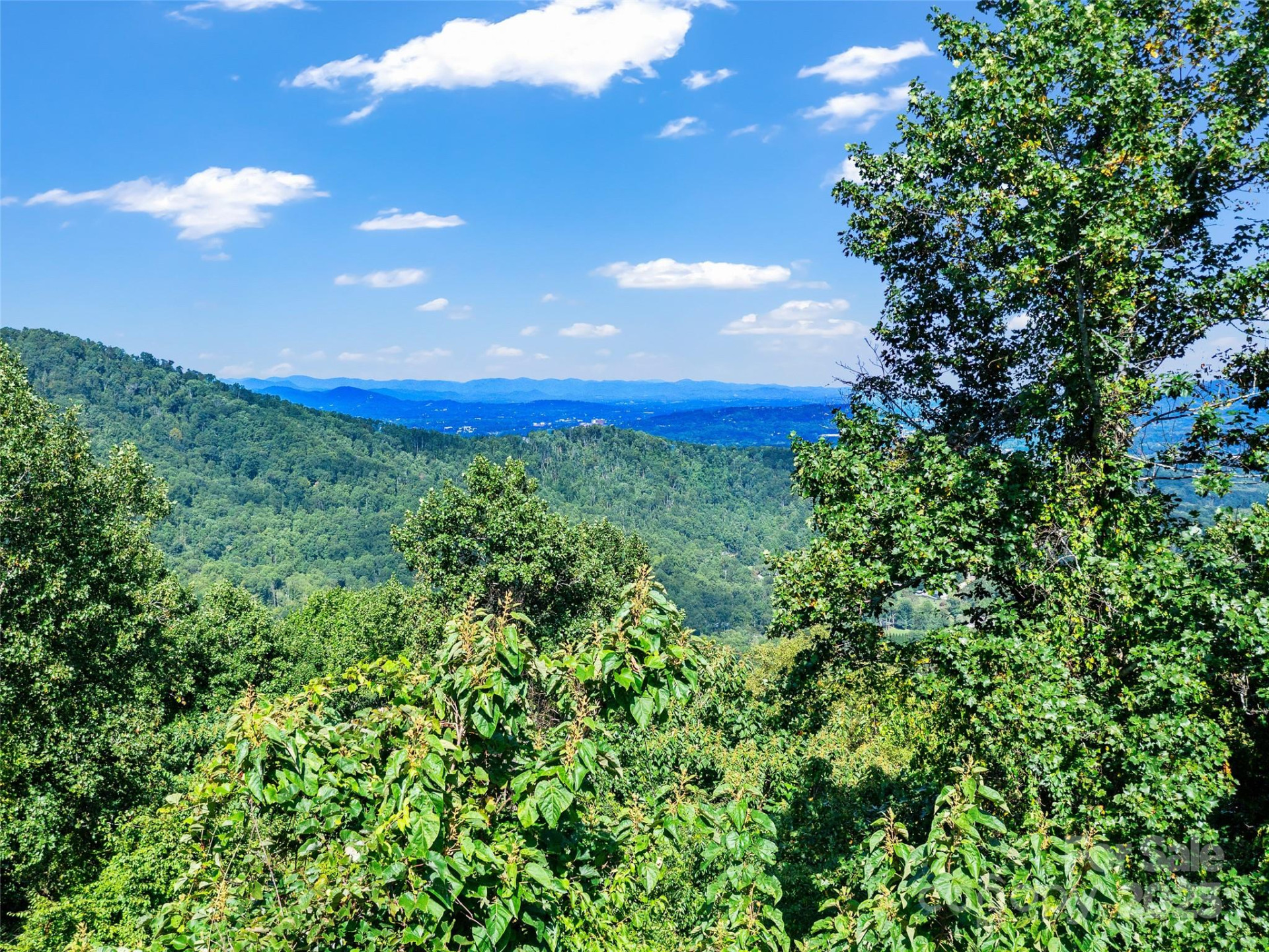 125 Floribunda Path #Lot 8A - Photo 23