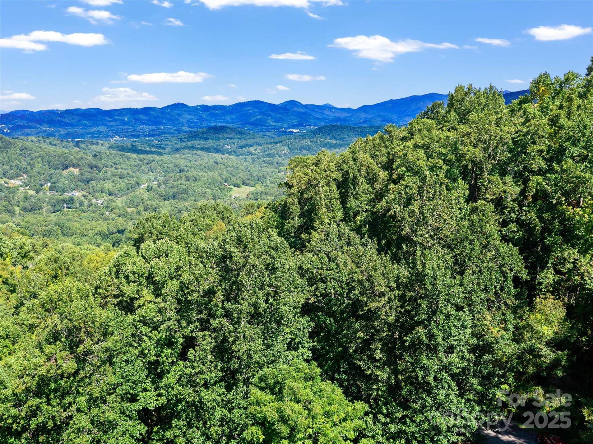 125 Floribunda Path #Lot 8A - Photo 24