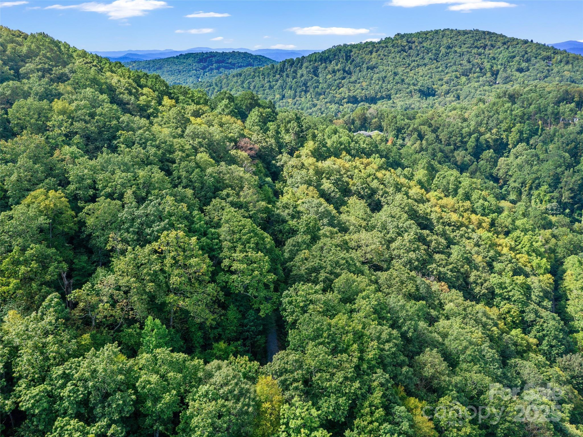 125 Floribunda Path #Lot 8A - Photo 25