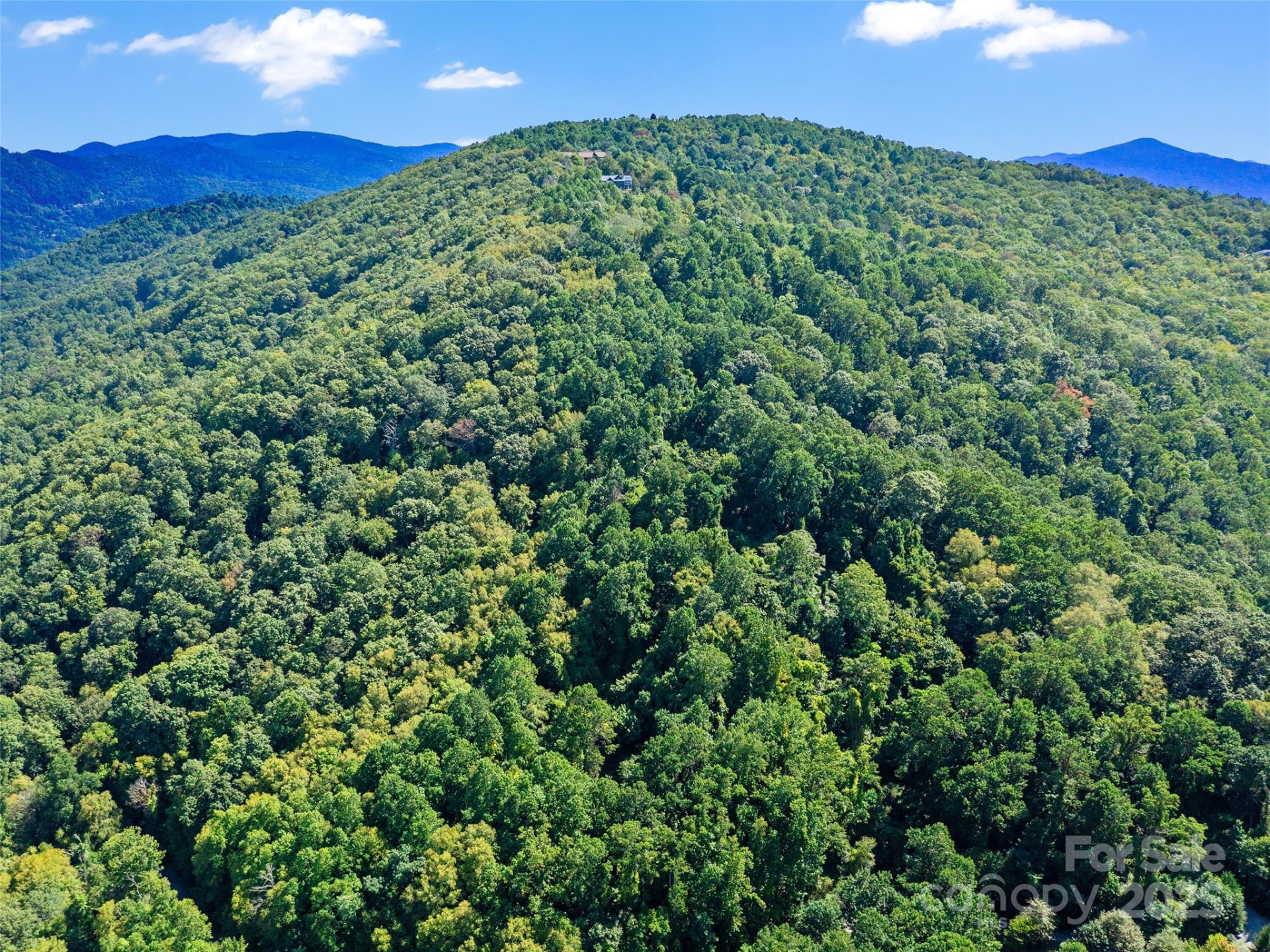 125 Floribunda Path #Lot 8A - Photo 26