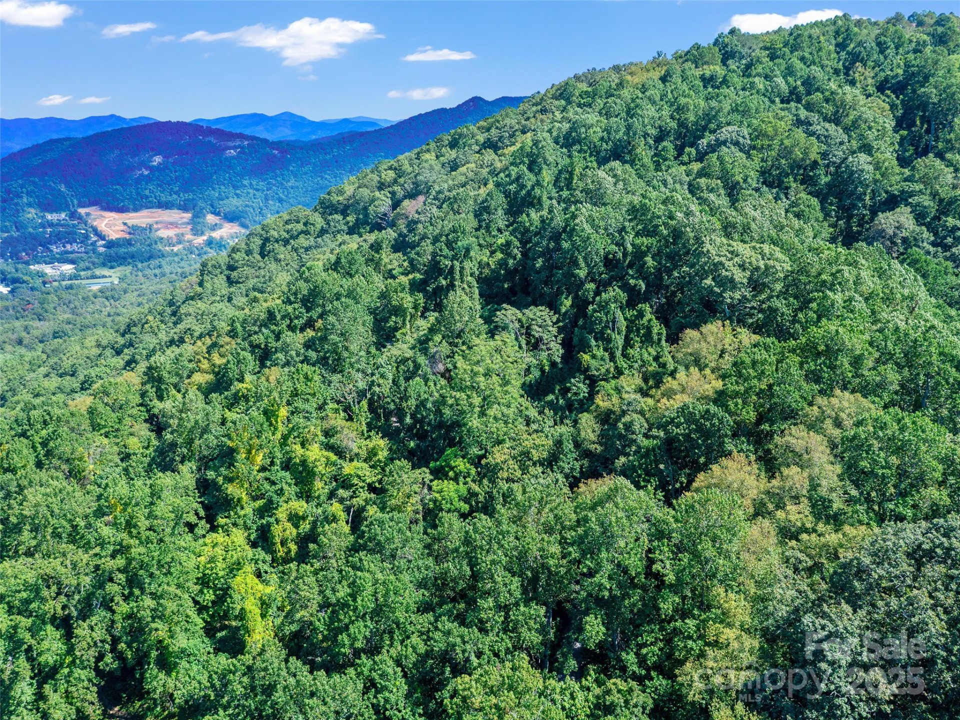 125 Floribunda Path #Lot 8A - Photo 27