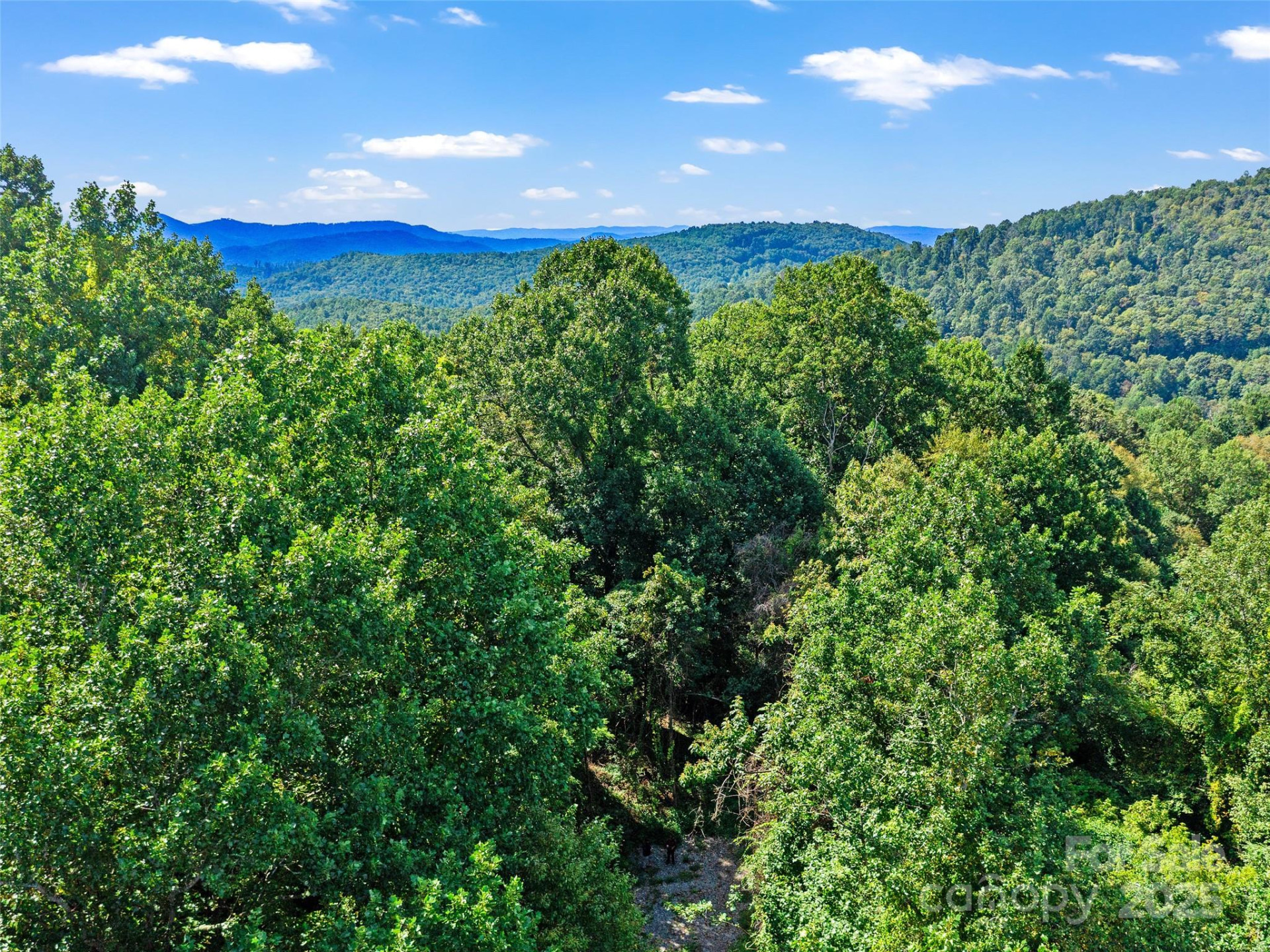 125 Floribunda Path #Lot 8A - Photo 28