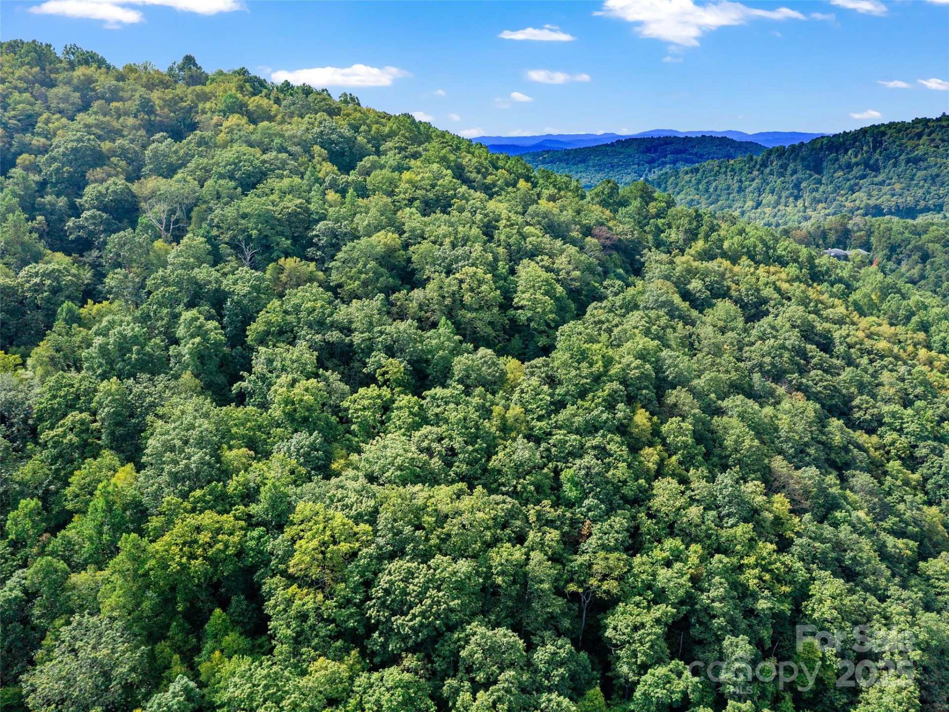 125 Floribunda Path #Lot 8A - Photo 29