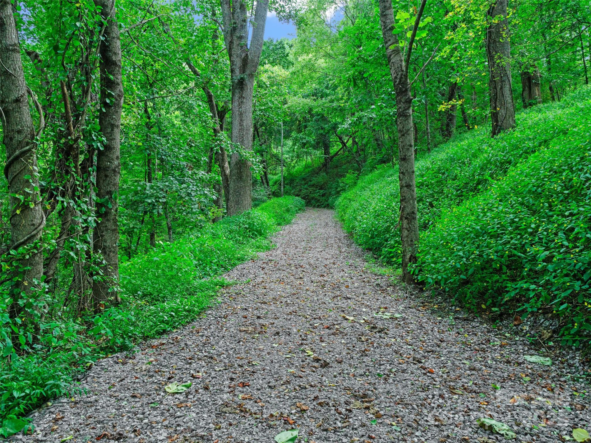 125 Floribunda Path #Lot 8A - Photo 4