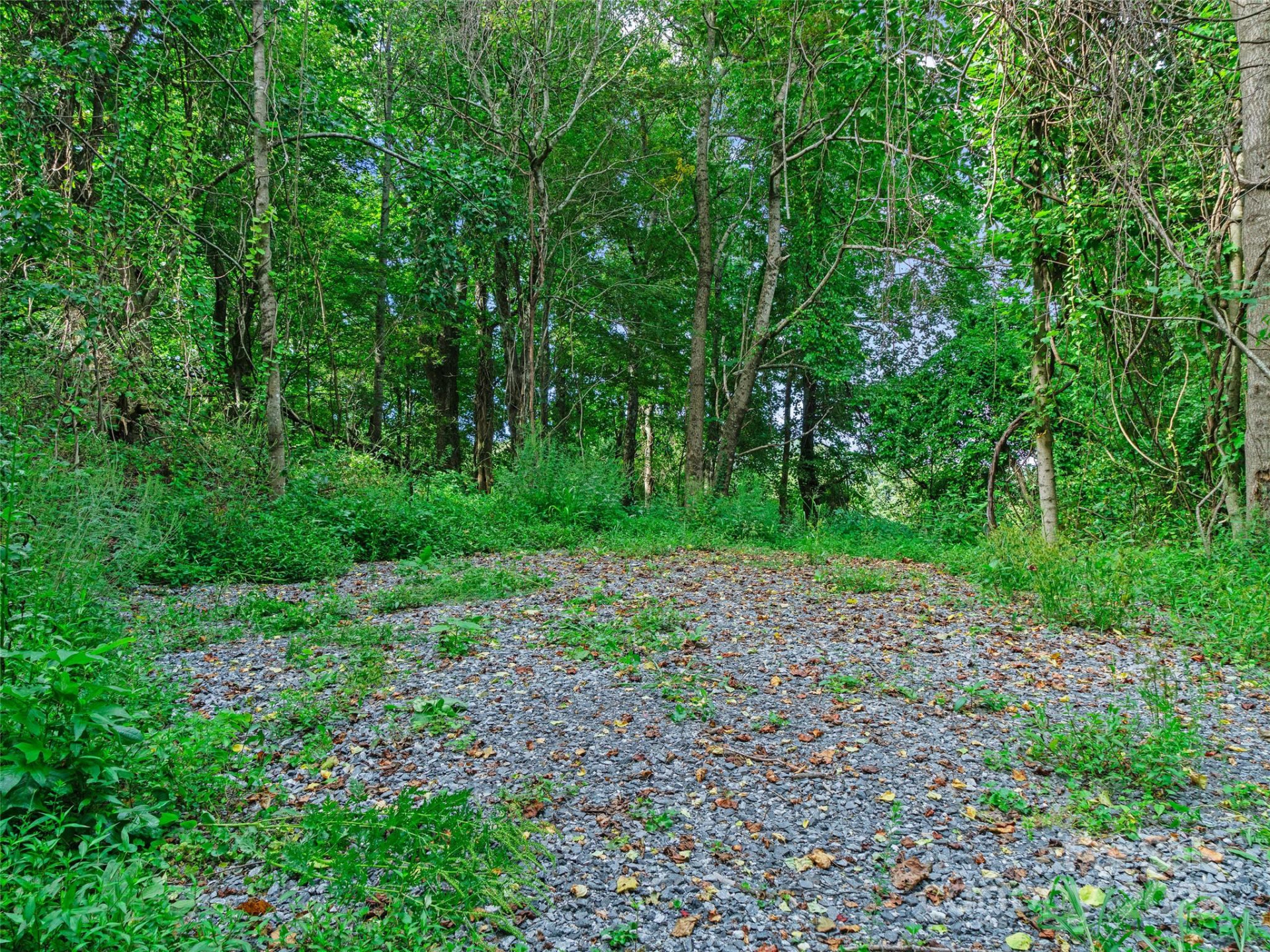 125 Floribunda Path #Lot 8A - Photo 5