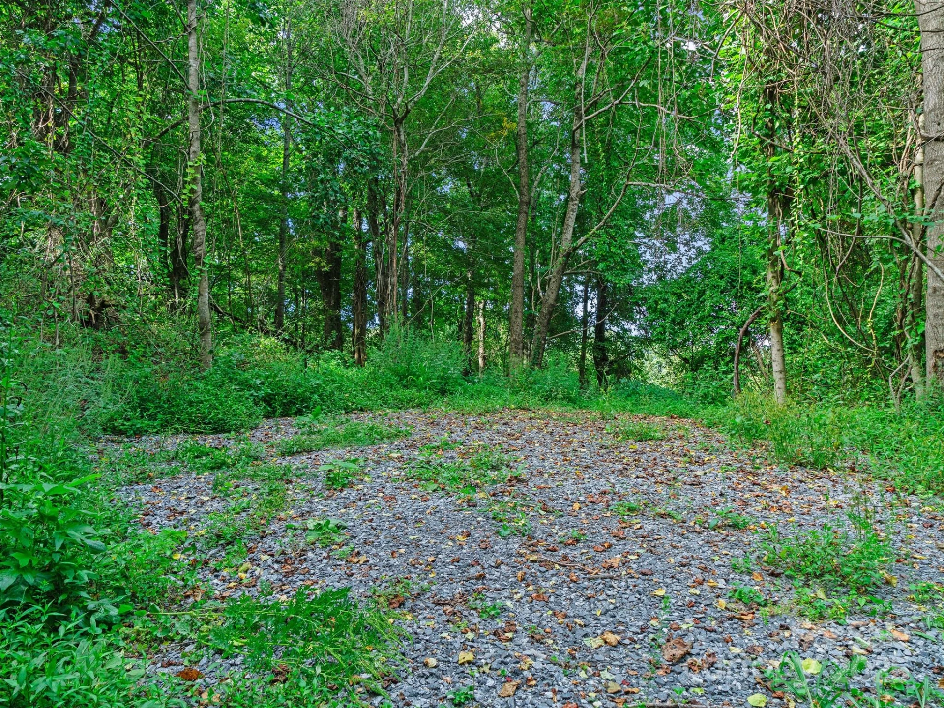 125 Floribunda Path #Lot 8A - Photo 5