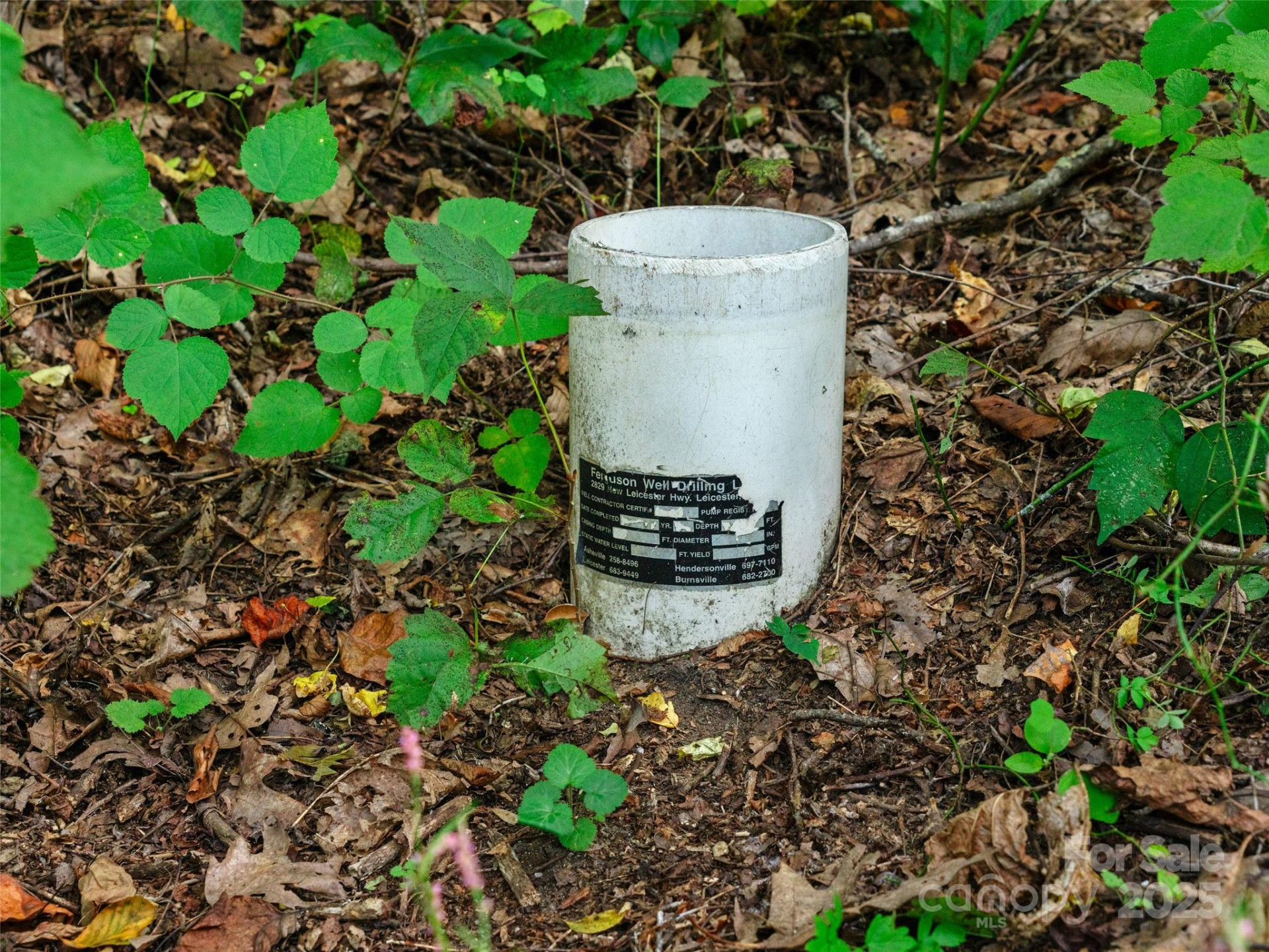 125 Floribunda Path #Lot 8A - Photo 6