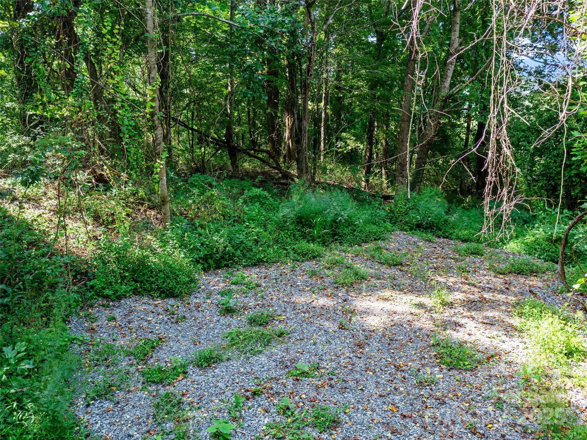 125 Floribunda Path #Lot 8A - Photo 7