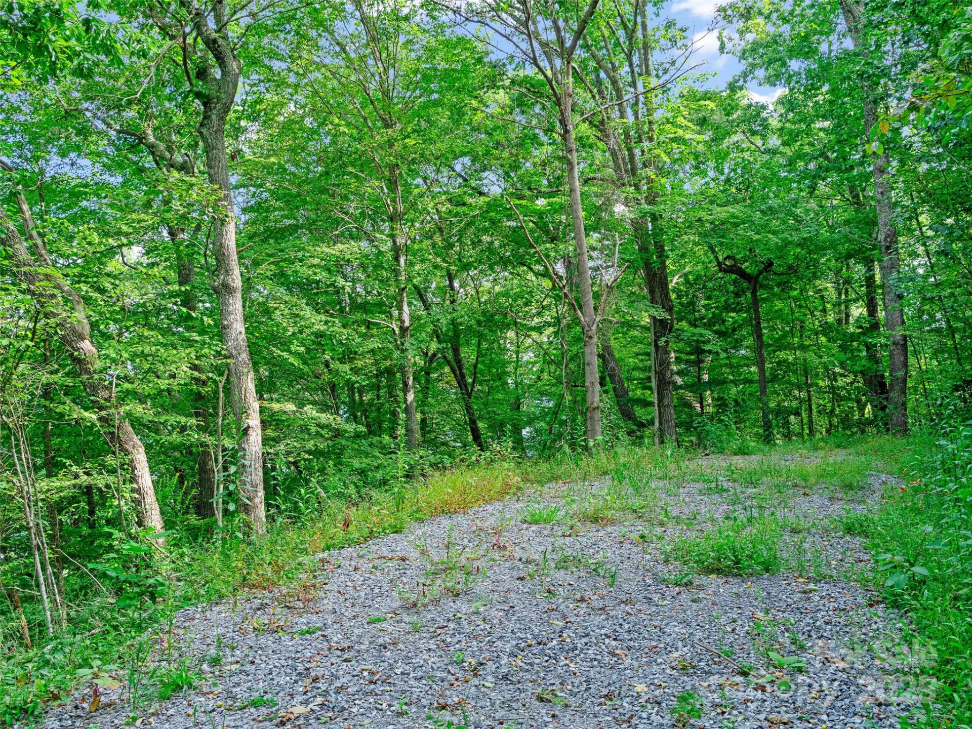 125 Floribunda Path #Lot 8A - Photo 8