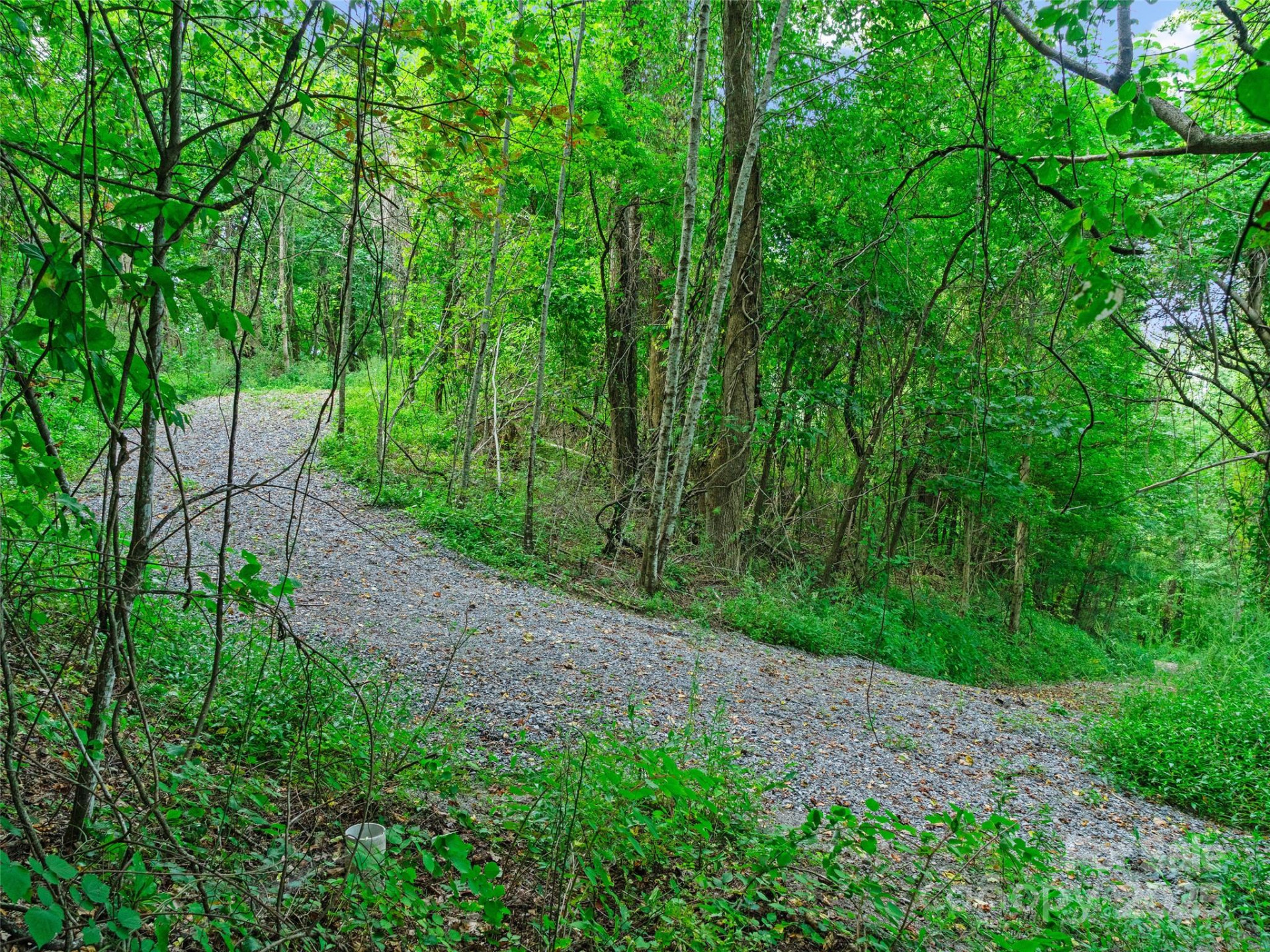 125 Floribunda Path #Lot 8A - Photo 9