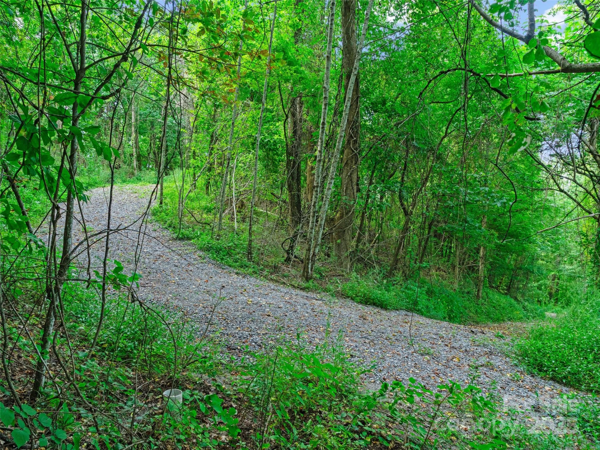 125 Floribunda Path #Lot 8A - Photo 9