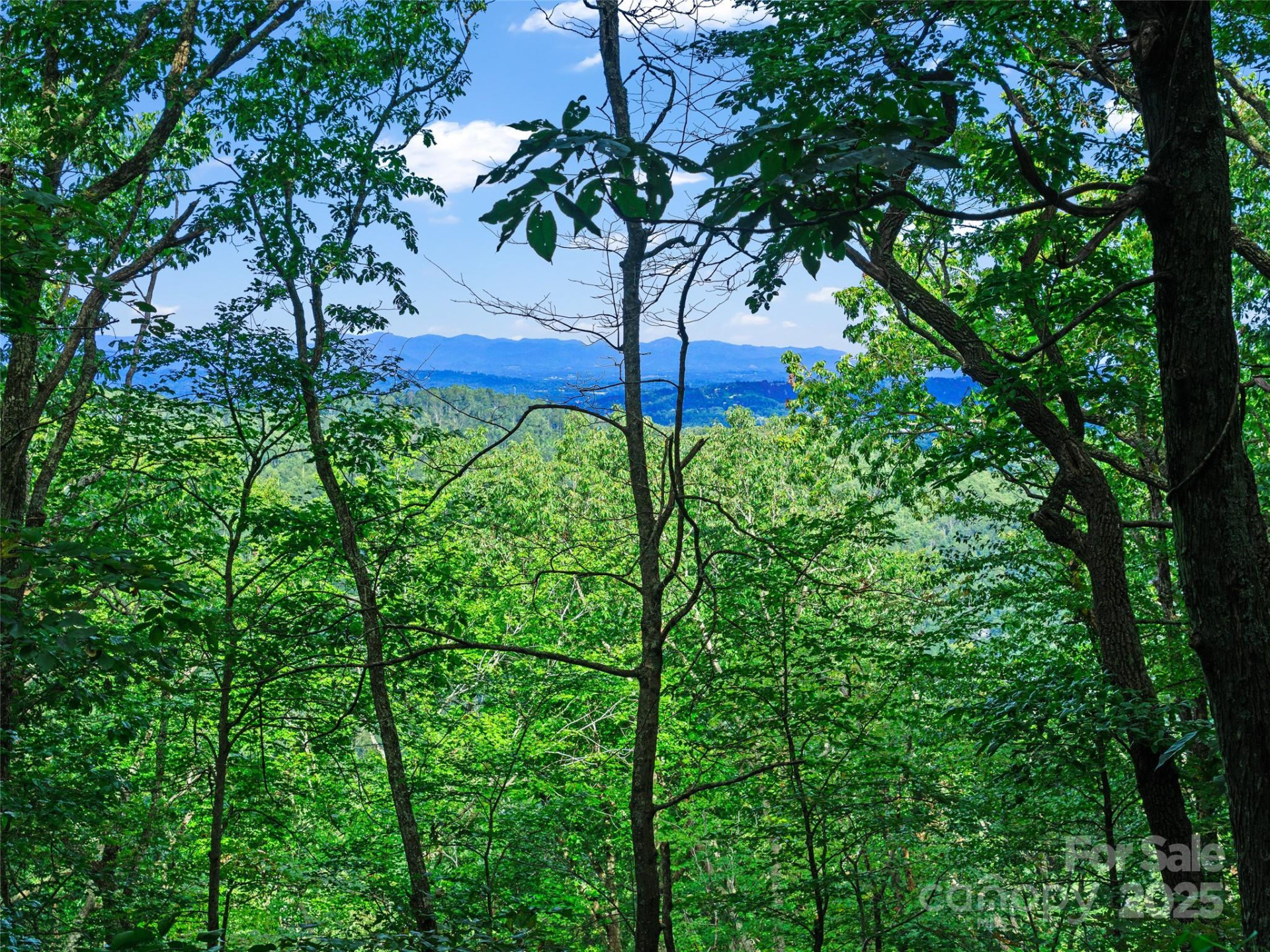 125 Floribunda Path #Lot 8A - Photo 10