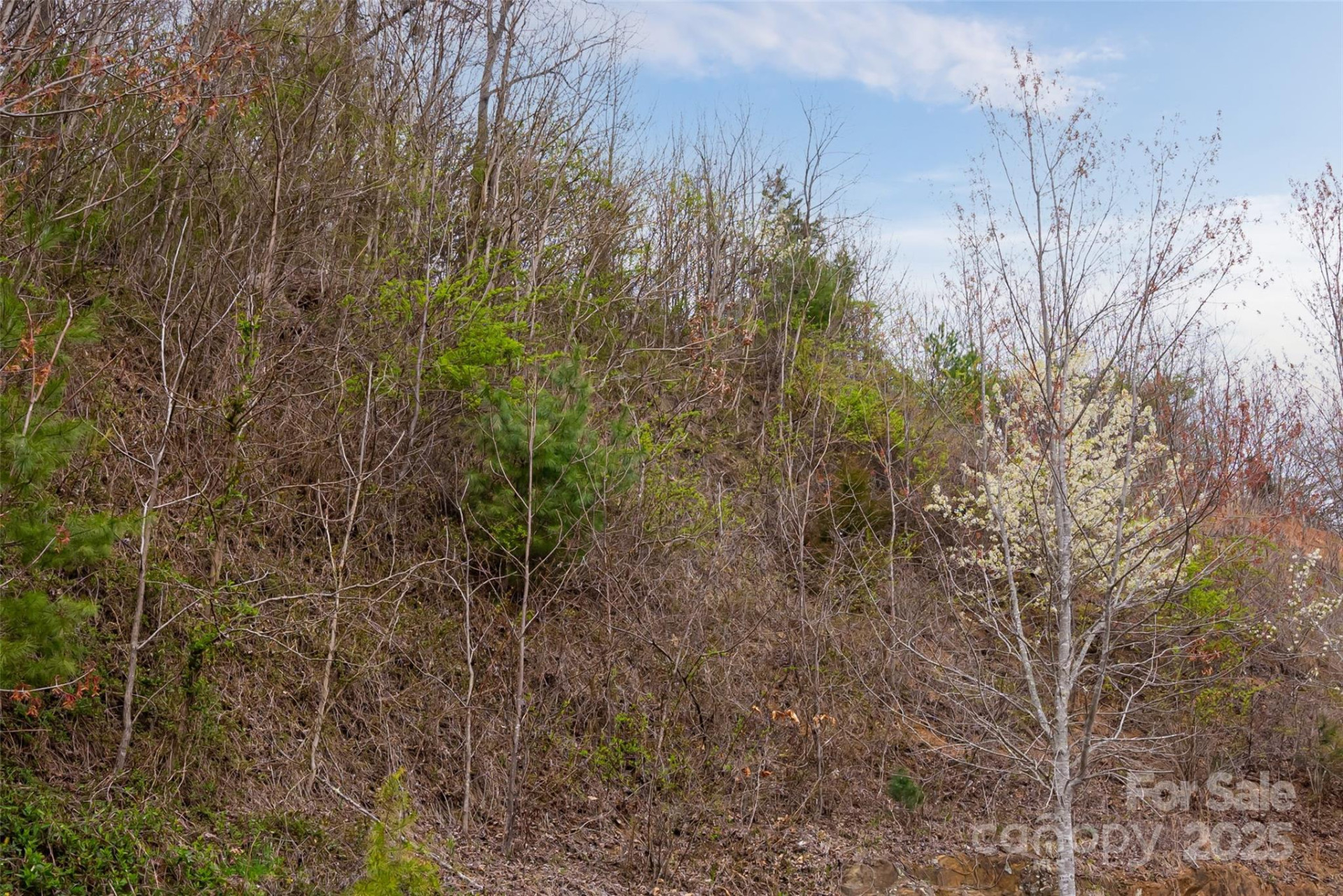 12 Grovepoint Way - Photo 2