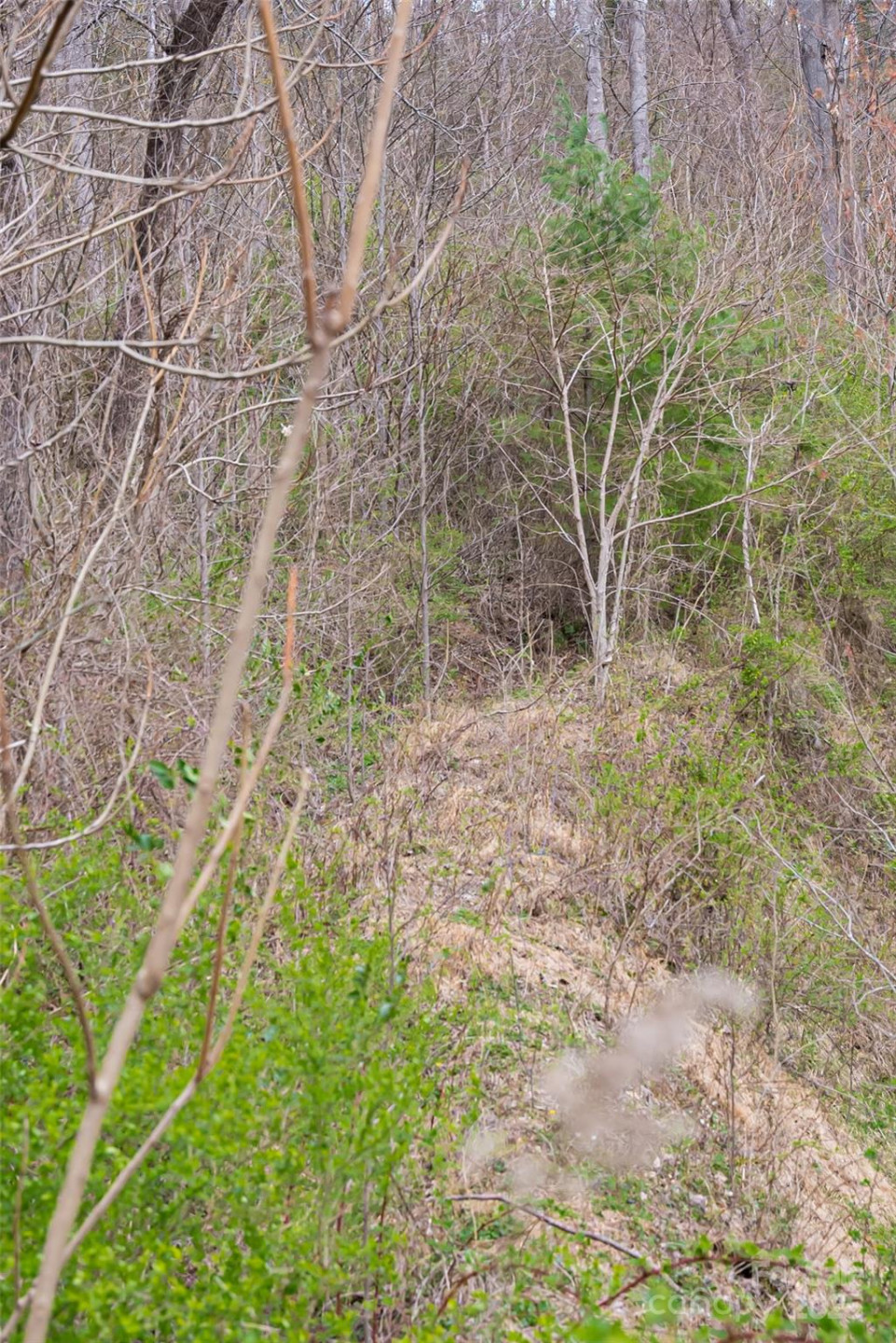 12 Grovepoint Way - Photo 17