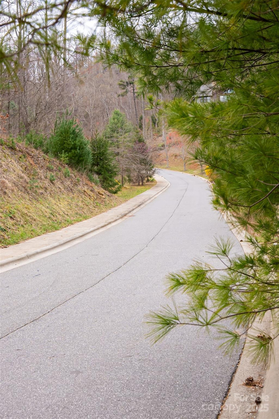 12 Grovepoint Way - Photo 20