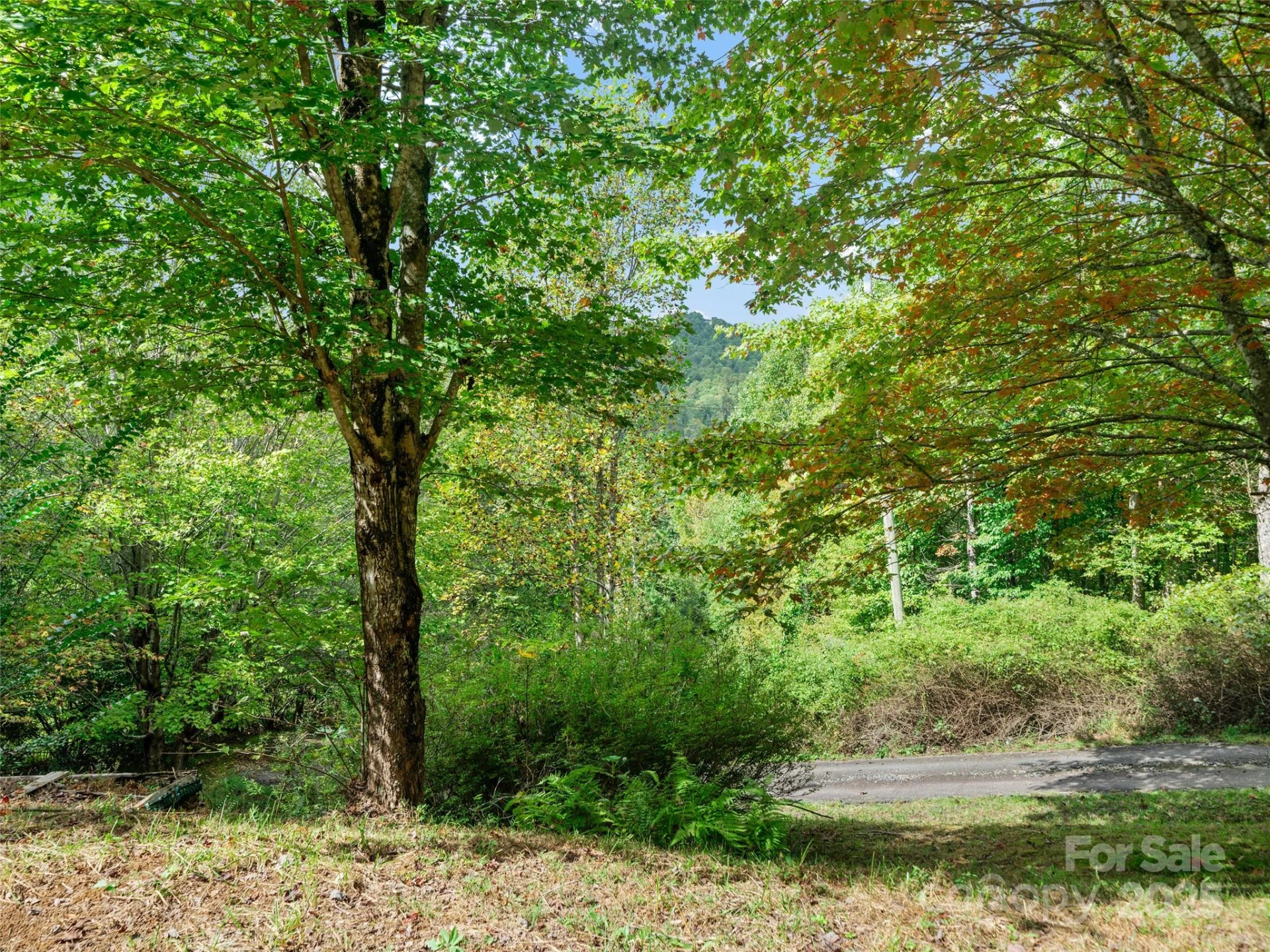 158 Dover Lane - Photo 17