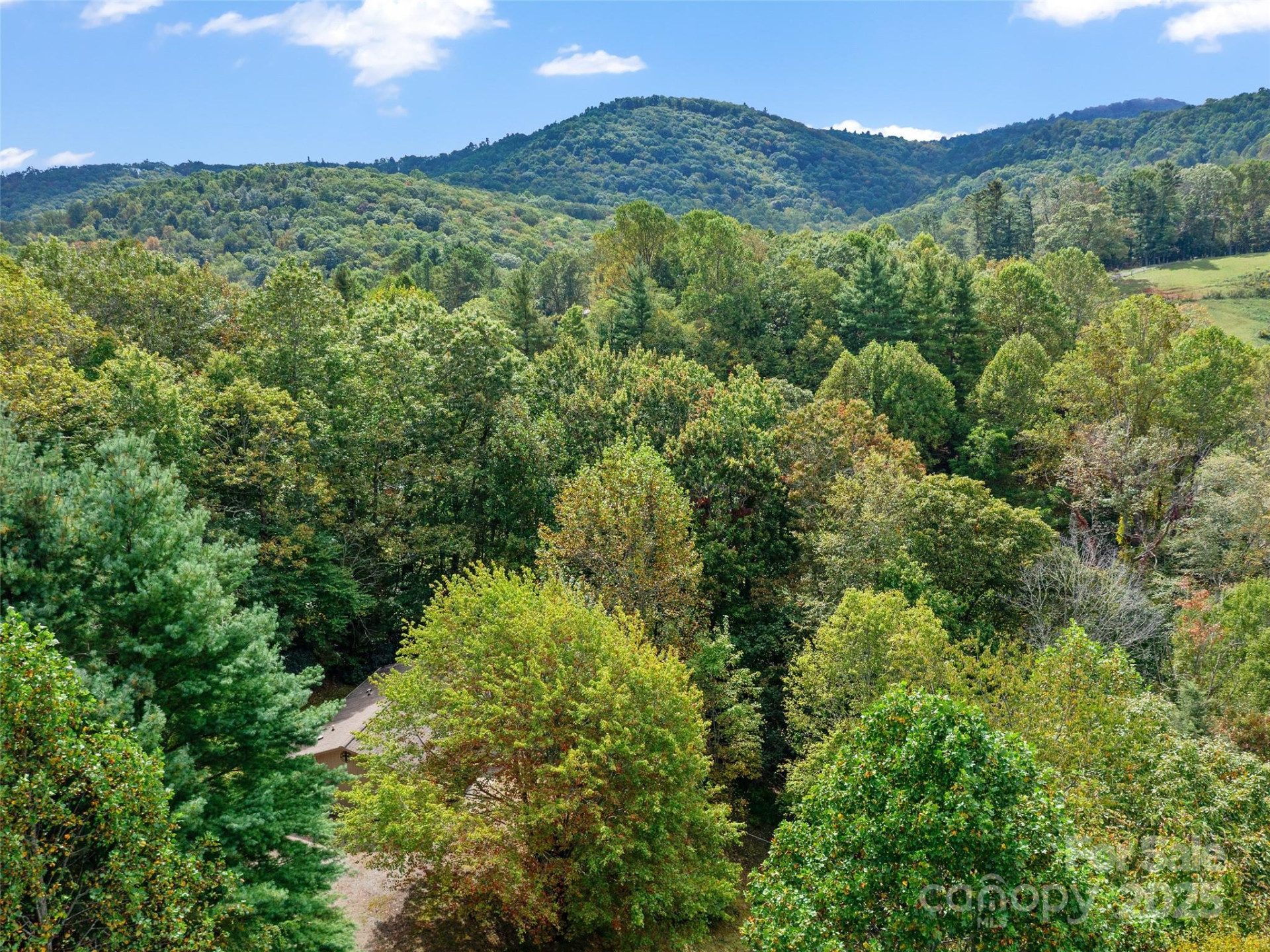 158 Dover Lane - Photo 21