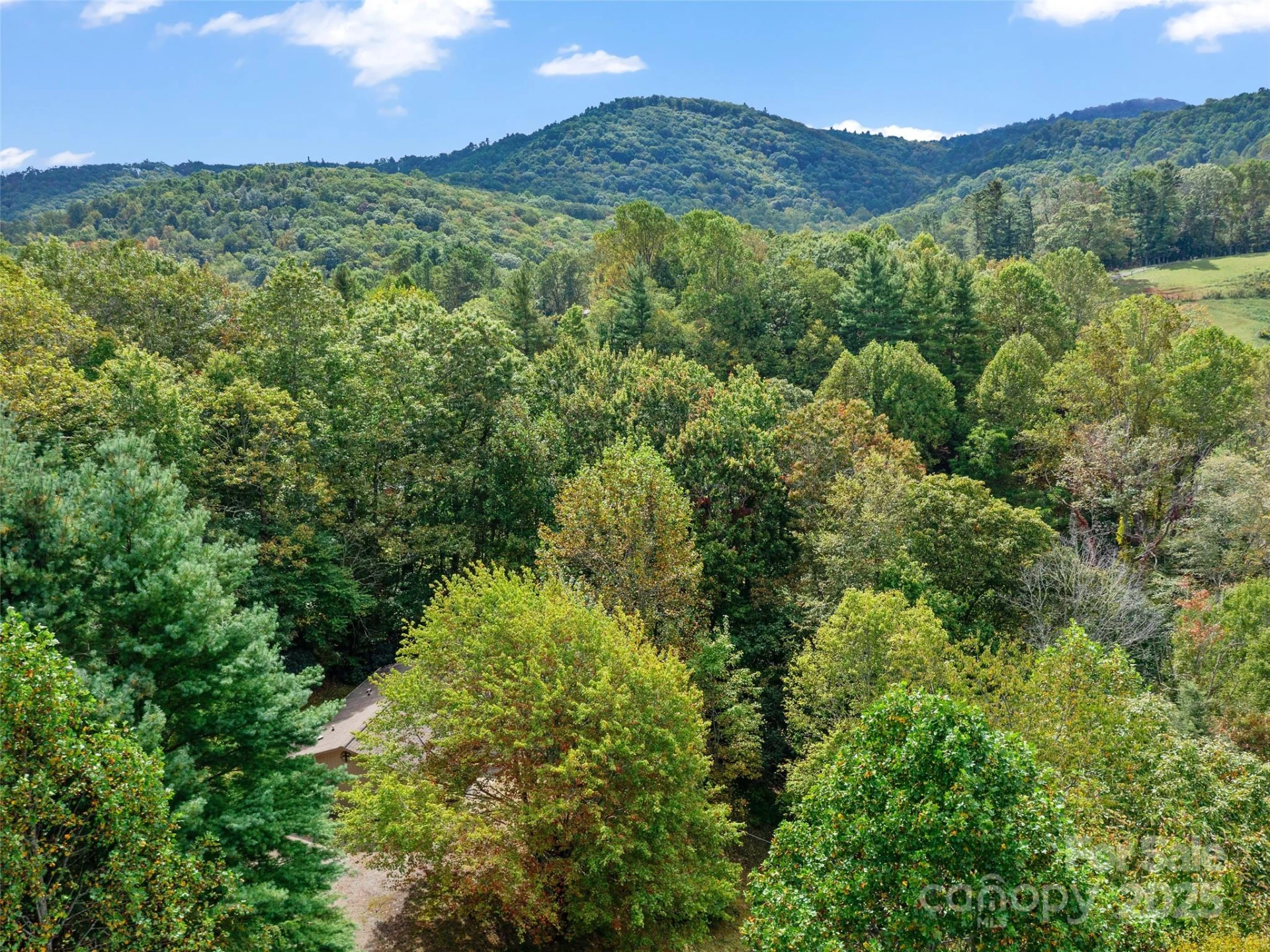 158 Dover Lane - Photo 21