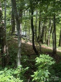 22 Signature Row Boulevard - Photo 2