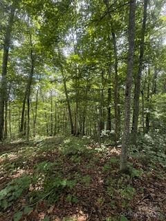 22 Signature Row Boulevard - Photo 4