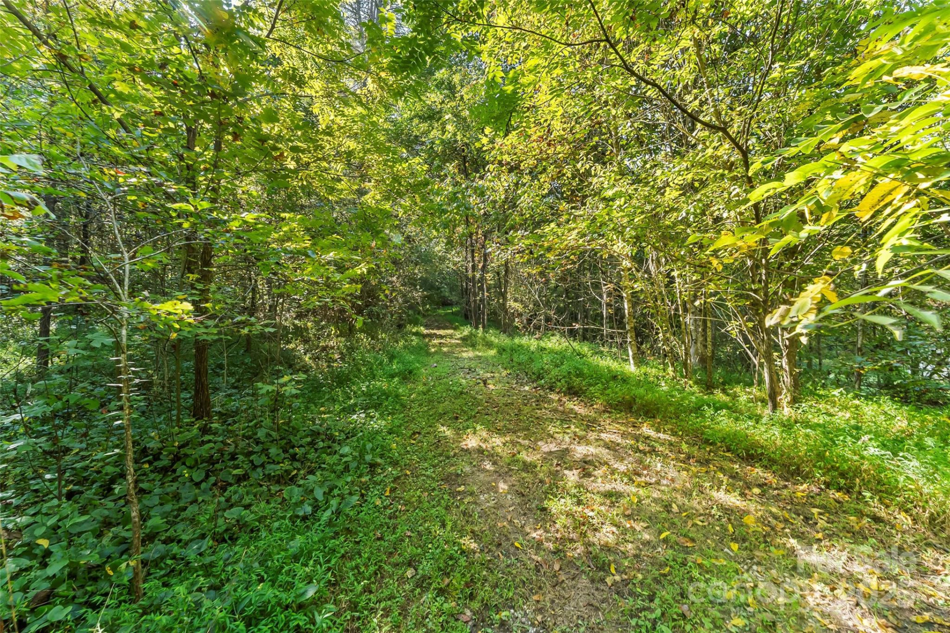 719 & 899 Mchone Drive - Photo 13