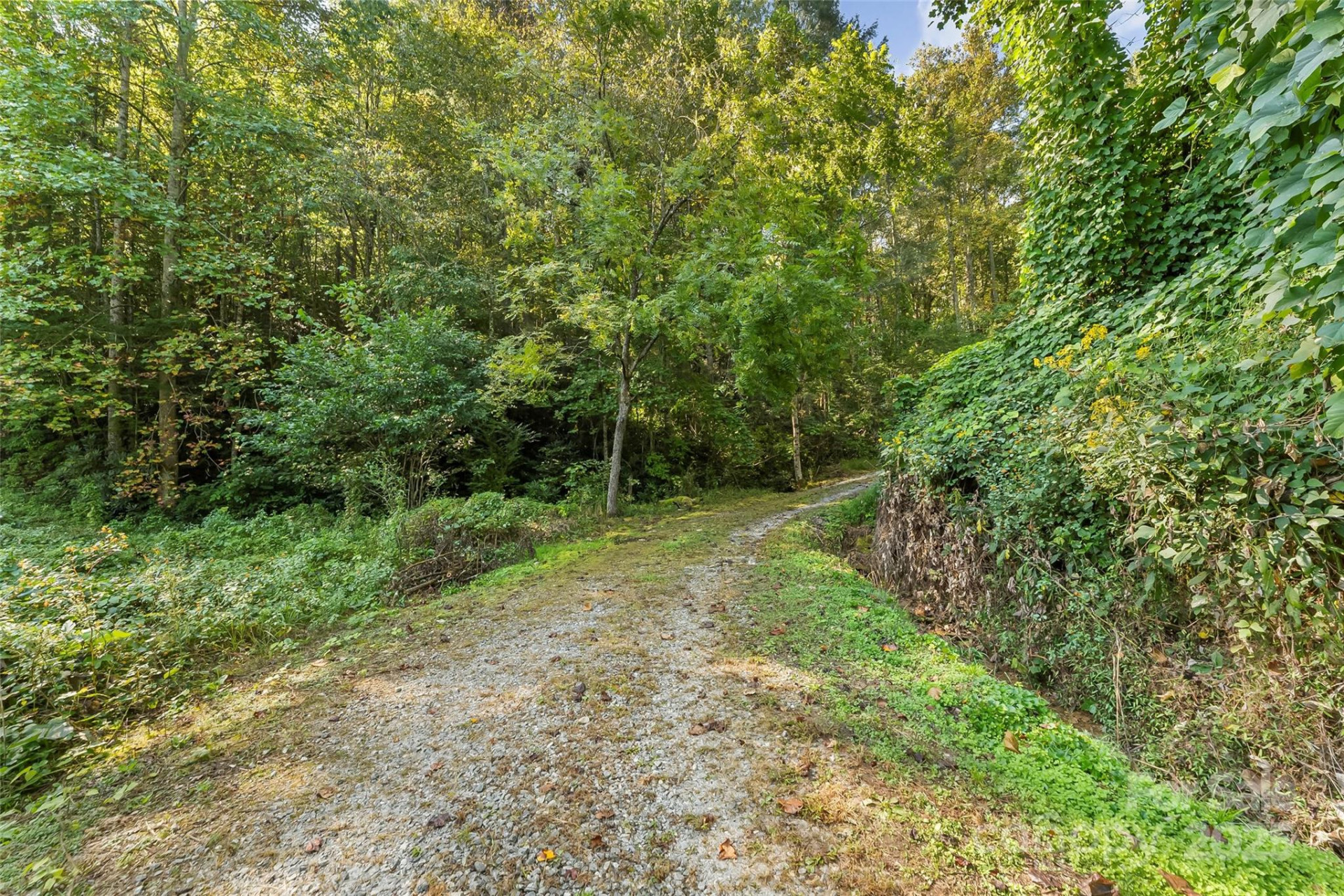 719 & 899 Mchone Drive - Photo 15