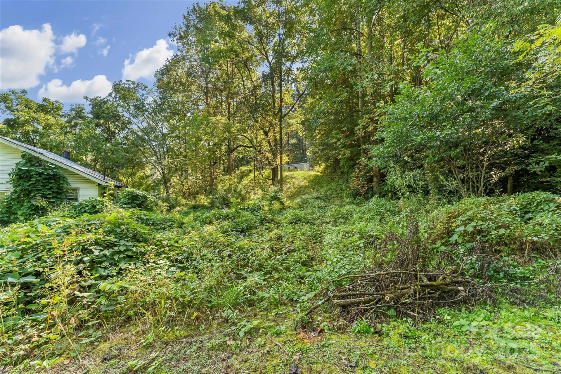 719 and 899 Mchone Drive - Photo 16