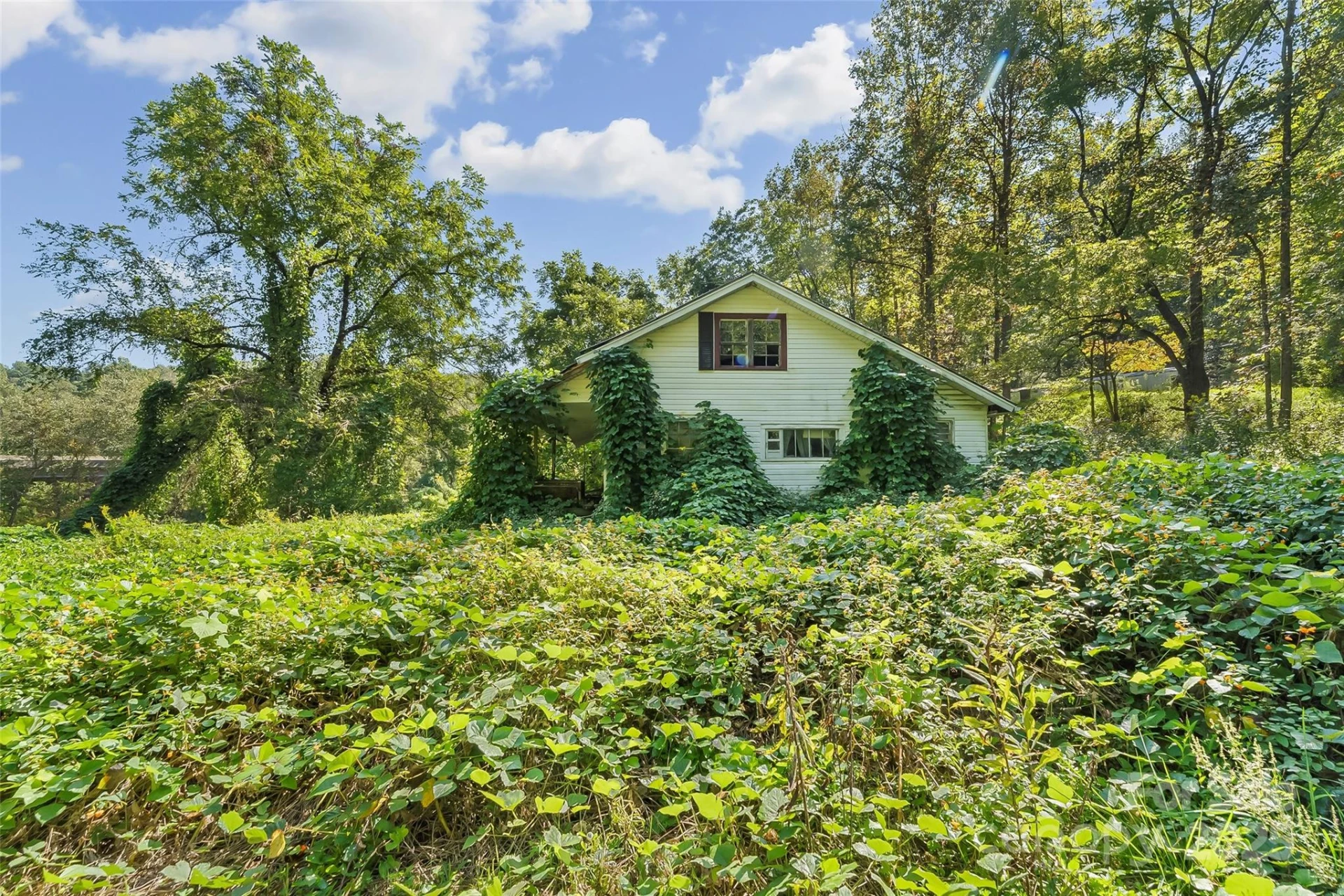 719 and 899 Mchone Drive - Photo 17