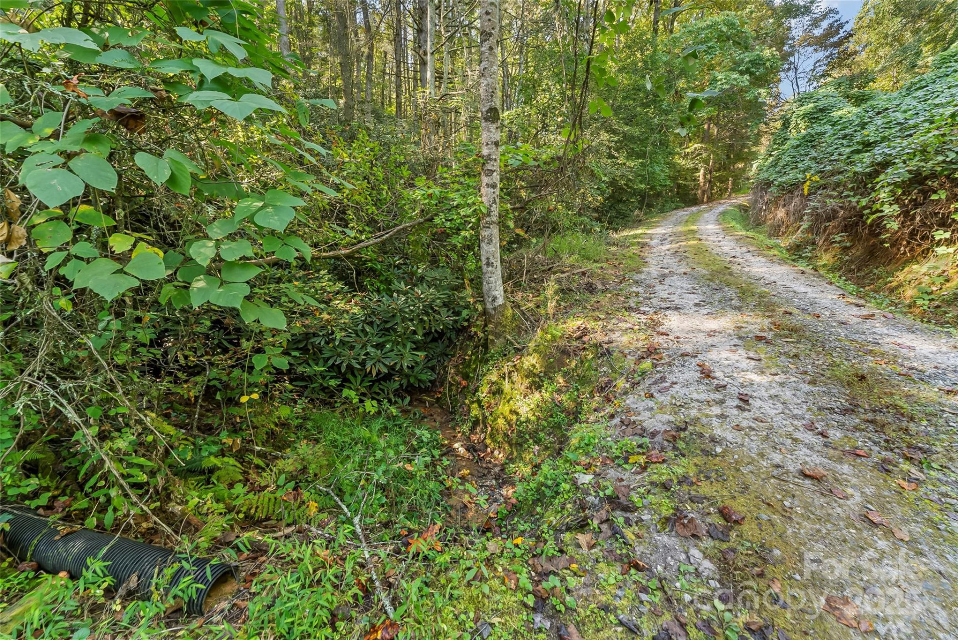 719 & 899 Mchone Drive - Photo 18