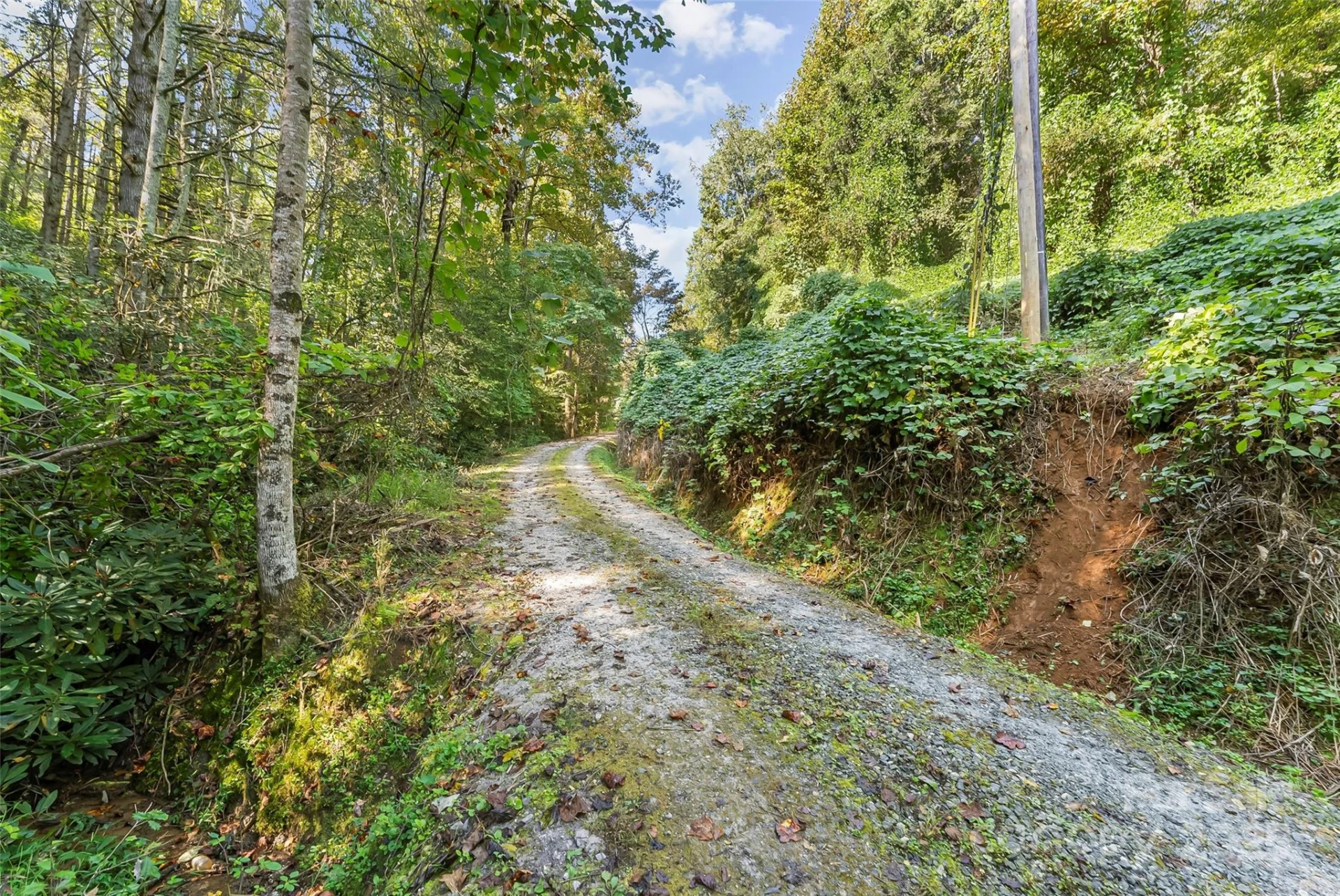 719 and 899 Mchone Drive - Photo 19