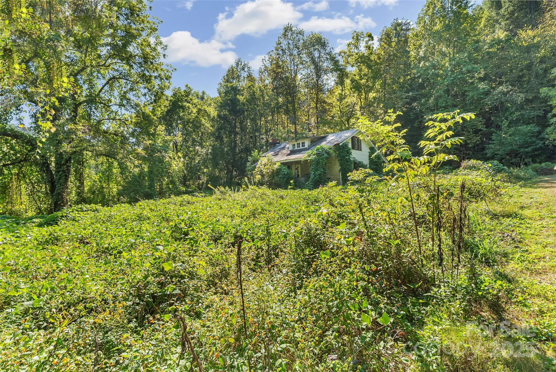 719 & 899 Mchone Drive - Photo 20