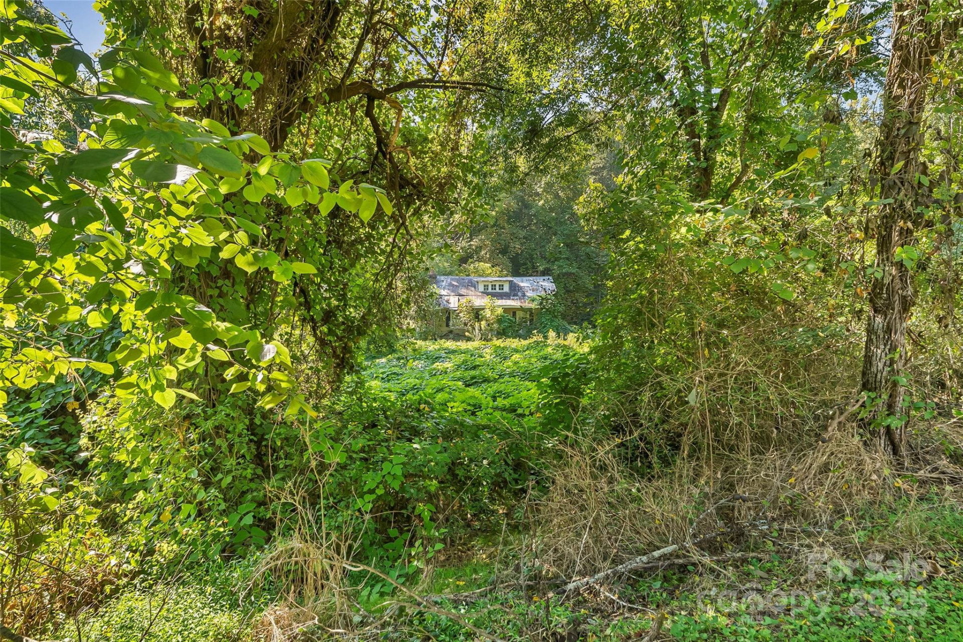 719 & 899 Mchone Drive - Photo 21