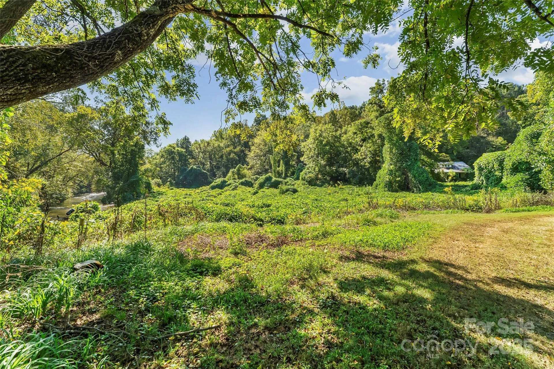719 and 899 Mchone Drive - Photo 4