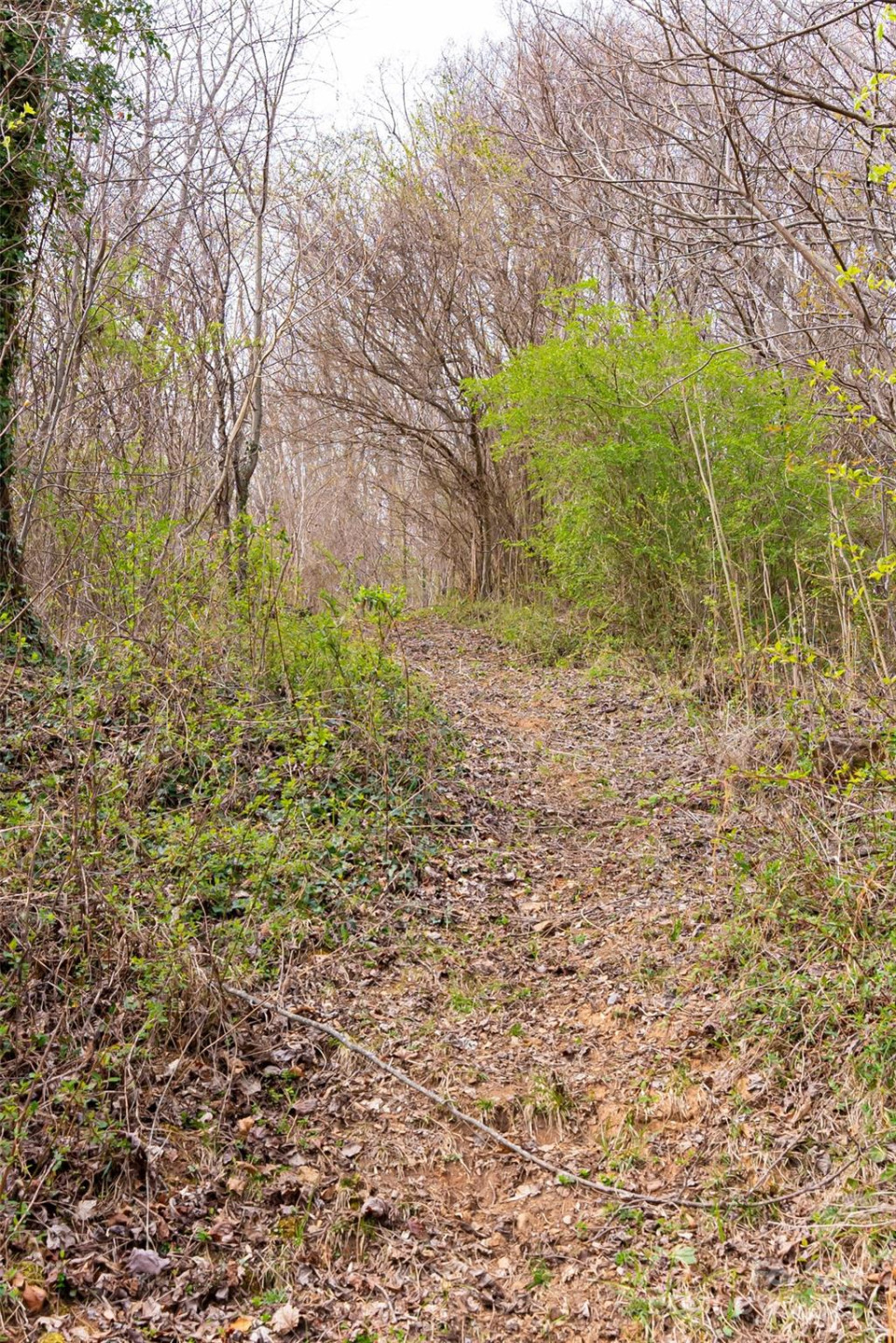 32 Grovepoint Way - Photo 18