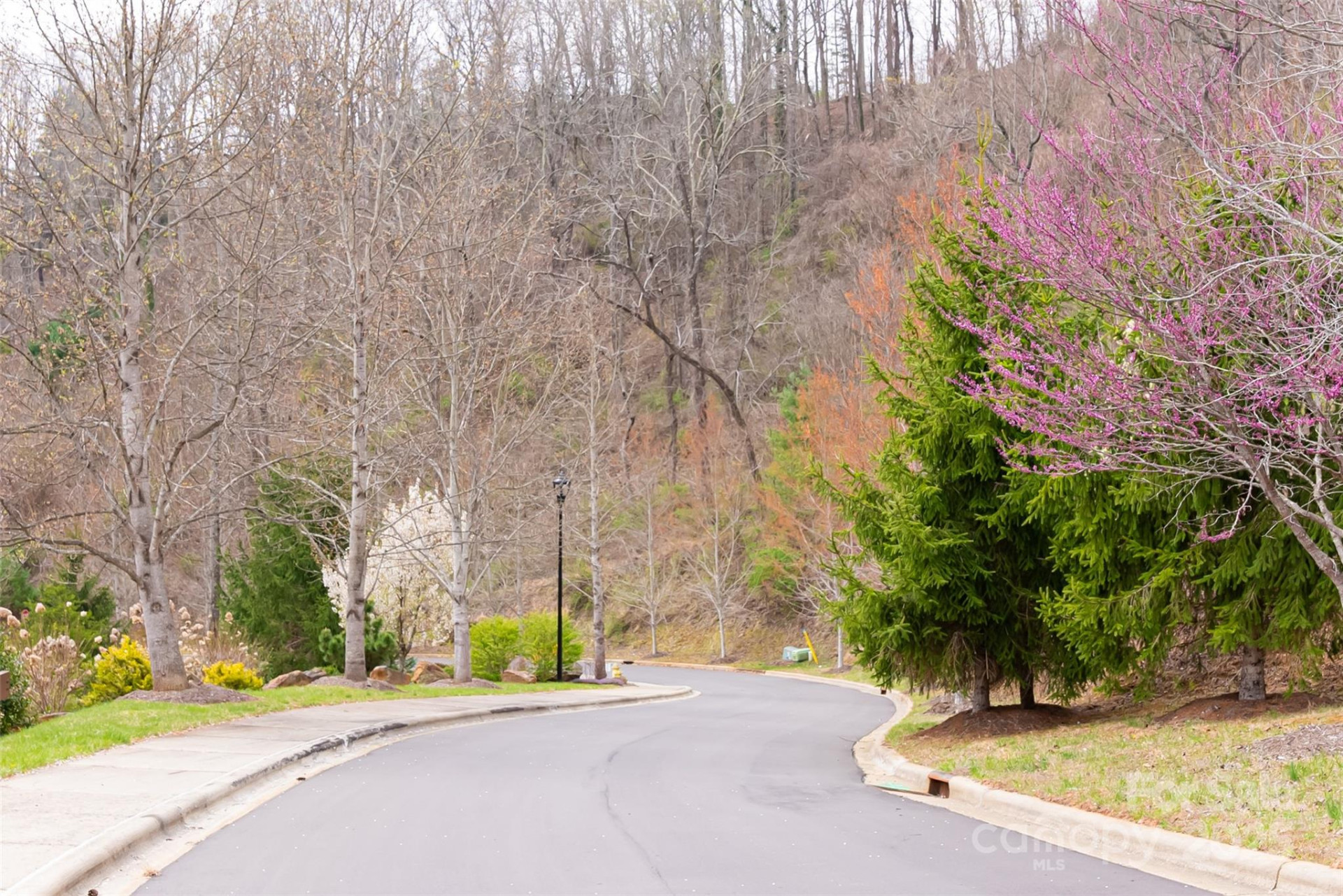 32 Grovepoint Way - Photo 3