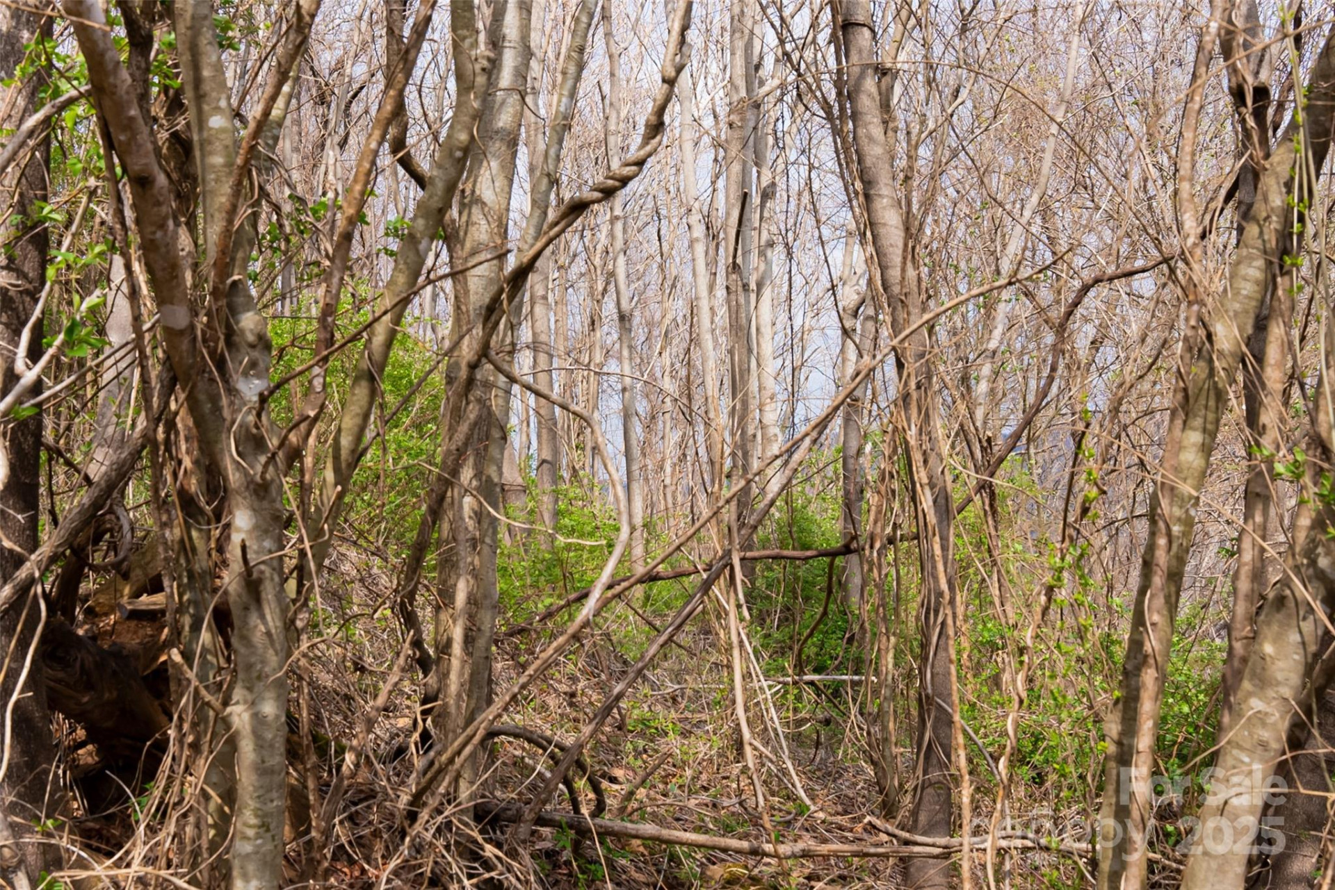 32 Grovepoint Way - Photo 4