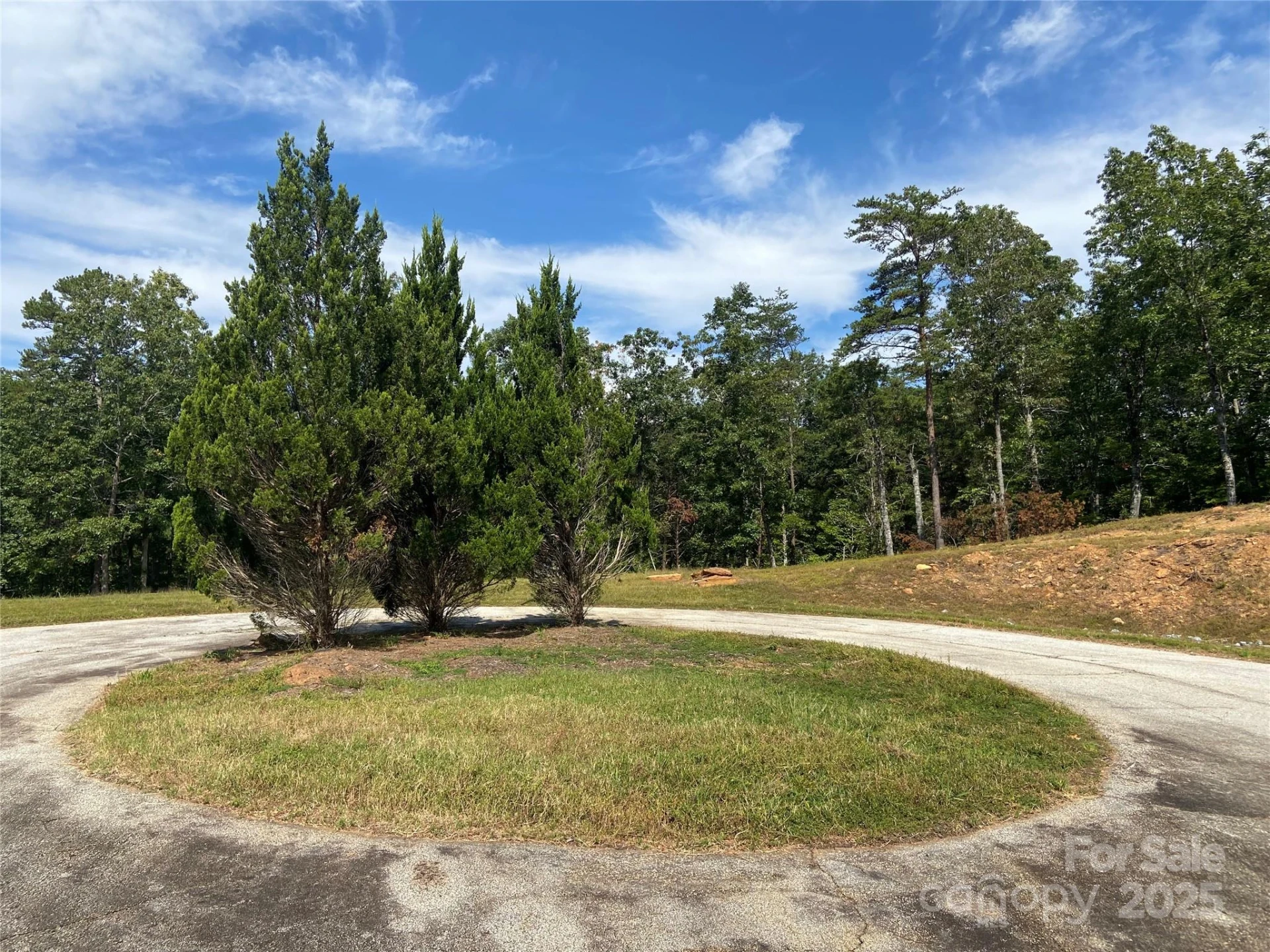 000 Ridgeland Way - Photo 3
