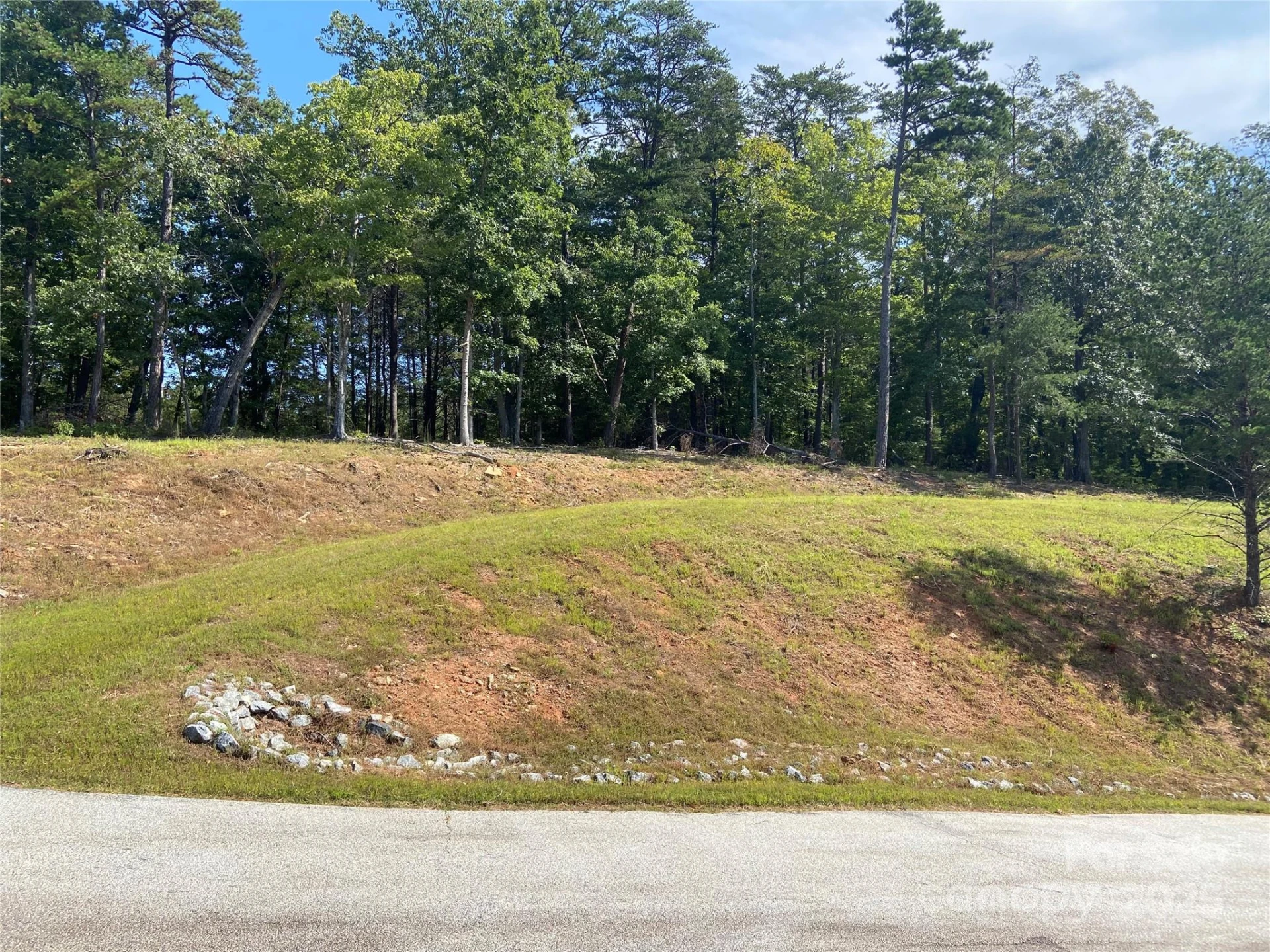 000 Ridgeland Way - Photo 5