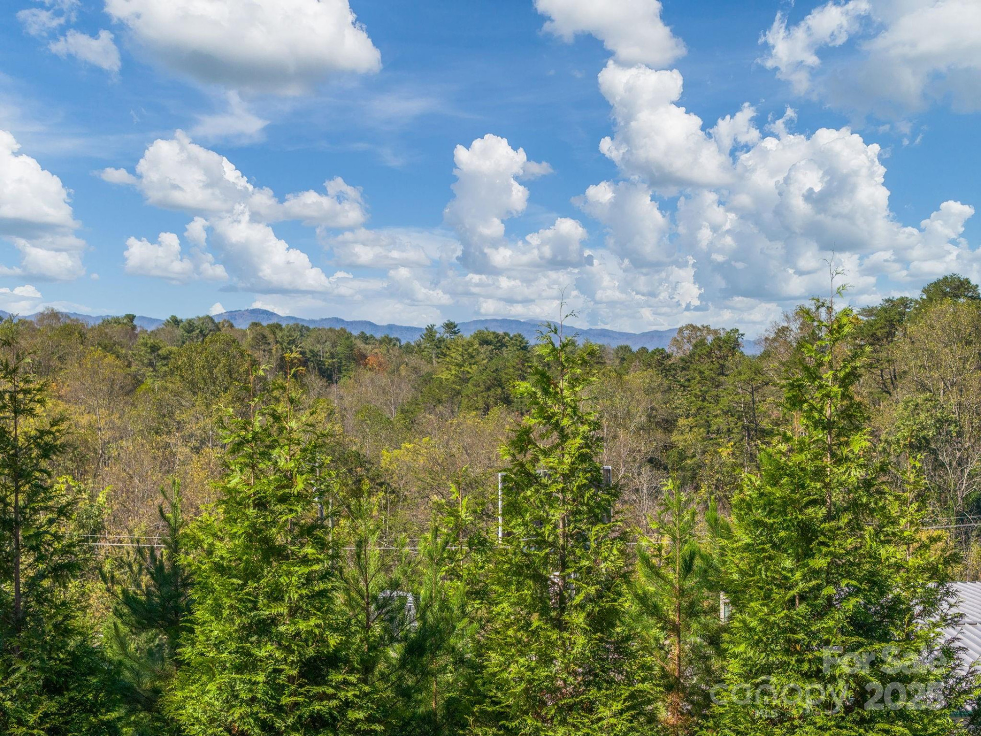 74 Red Maple Drive - Photo 40