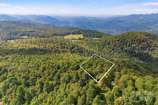 000 Fawns Rest Street, Black Mountain, NC, 28711