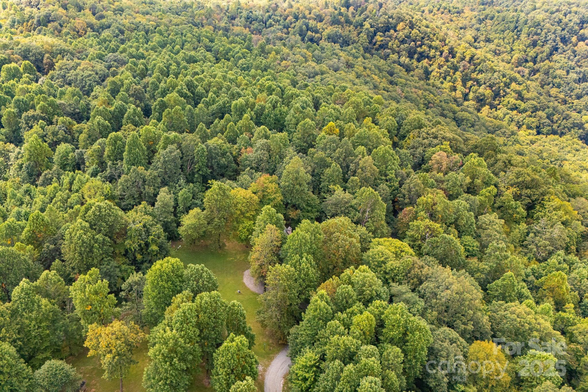 000 Fawns Rest Street - Photo 13