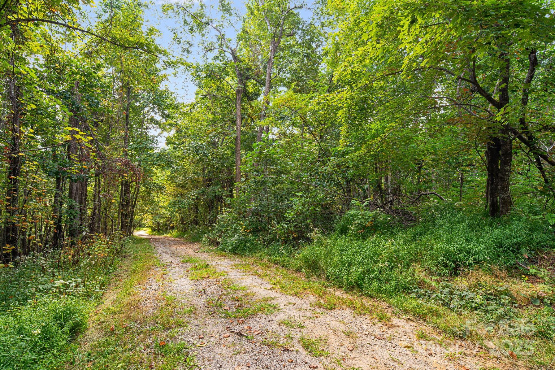 000 Fawns Rest Street - Photo 14