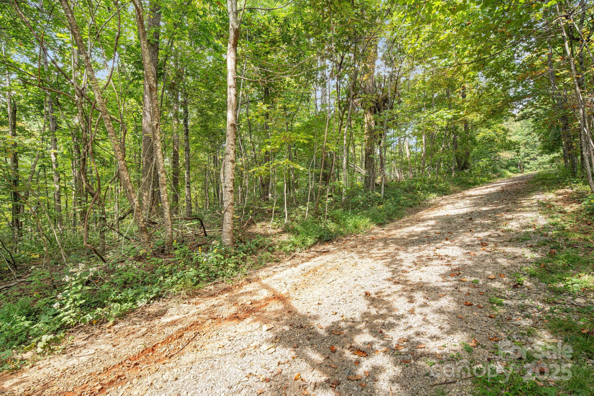 000 Fawns Rest Street - Photo 15