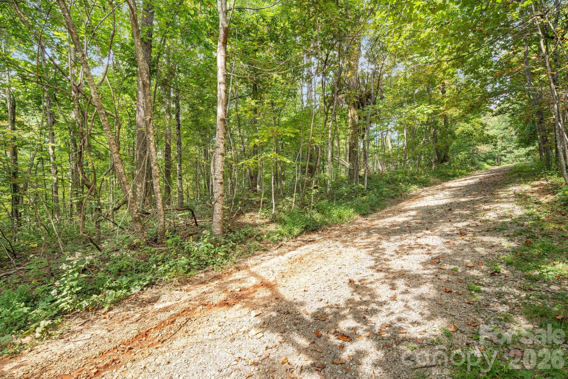 000 Fawns Rest Street - Photo 7